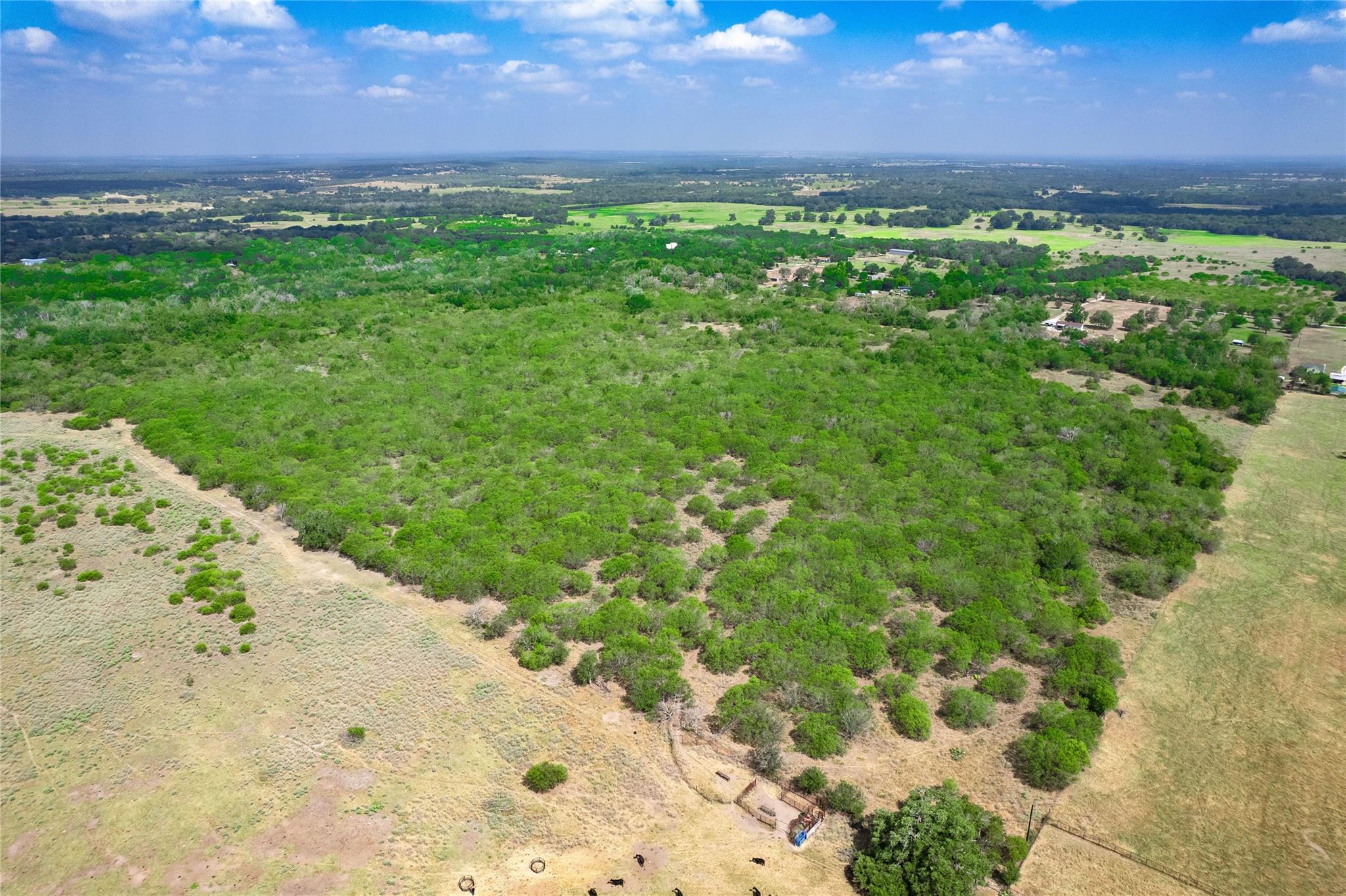 12135 Fm 1322 None Property Photo 17