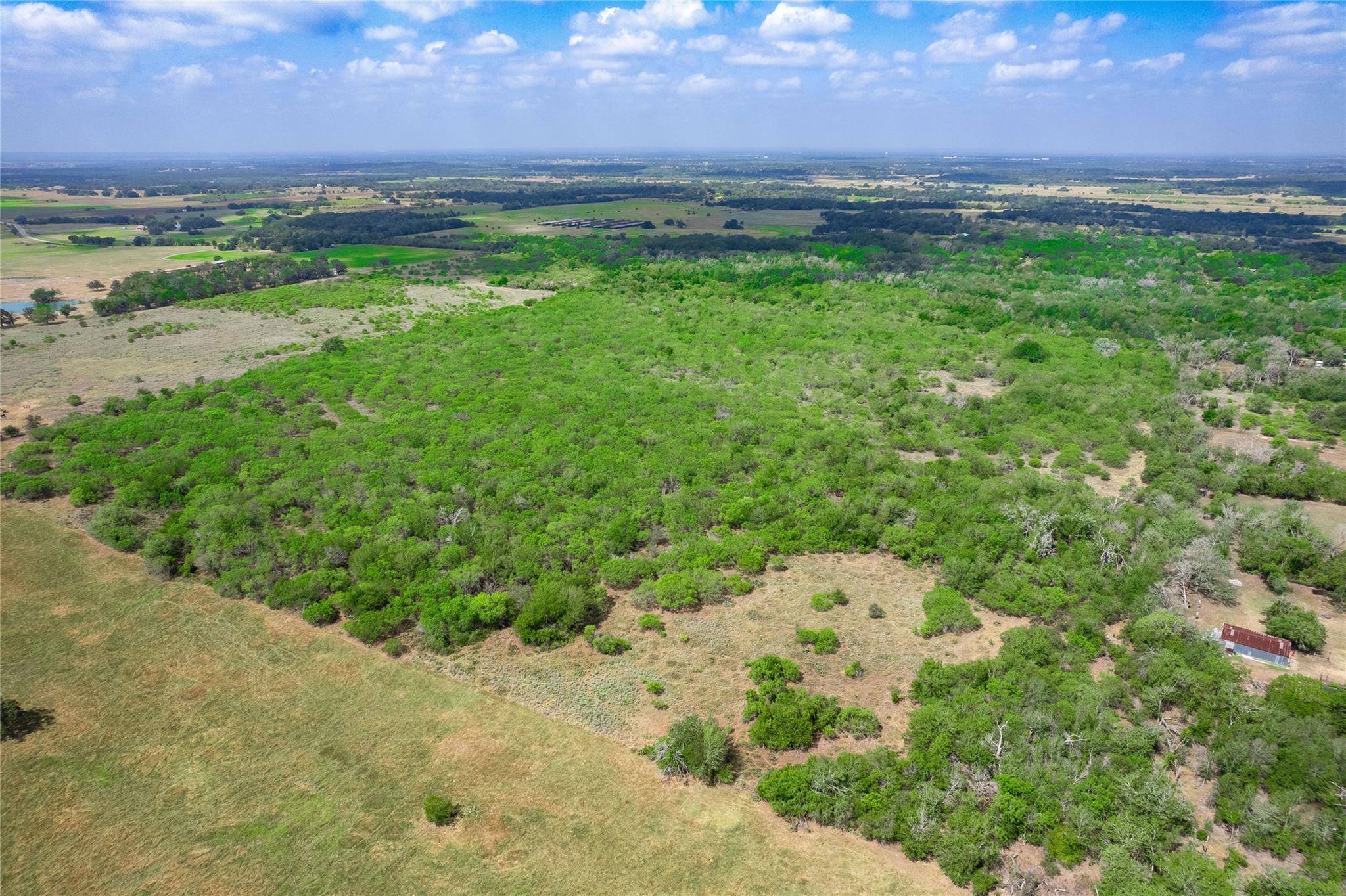 12135 Fm 1322 None Property Photo 18