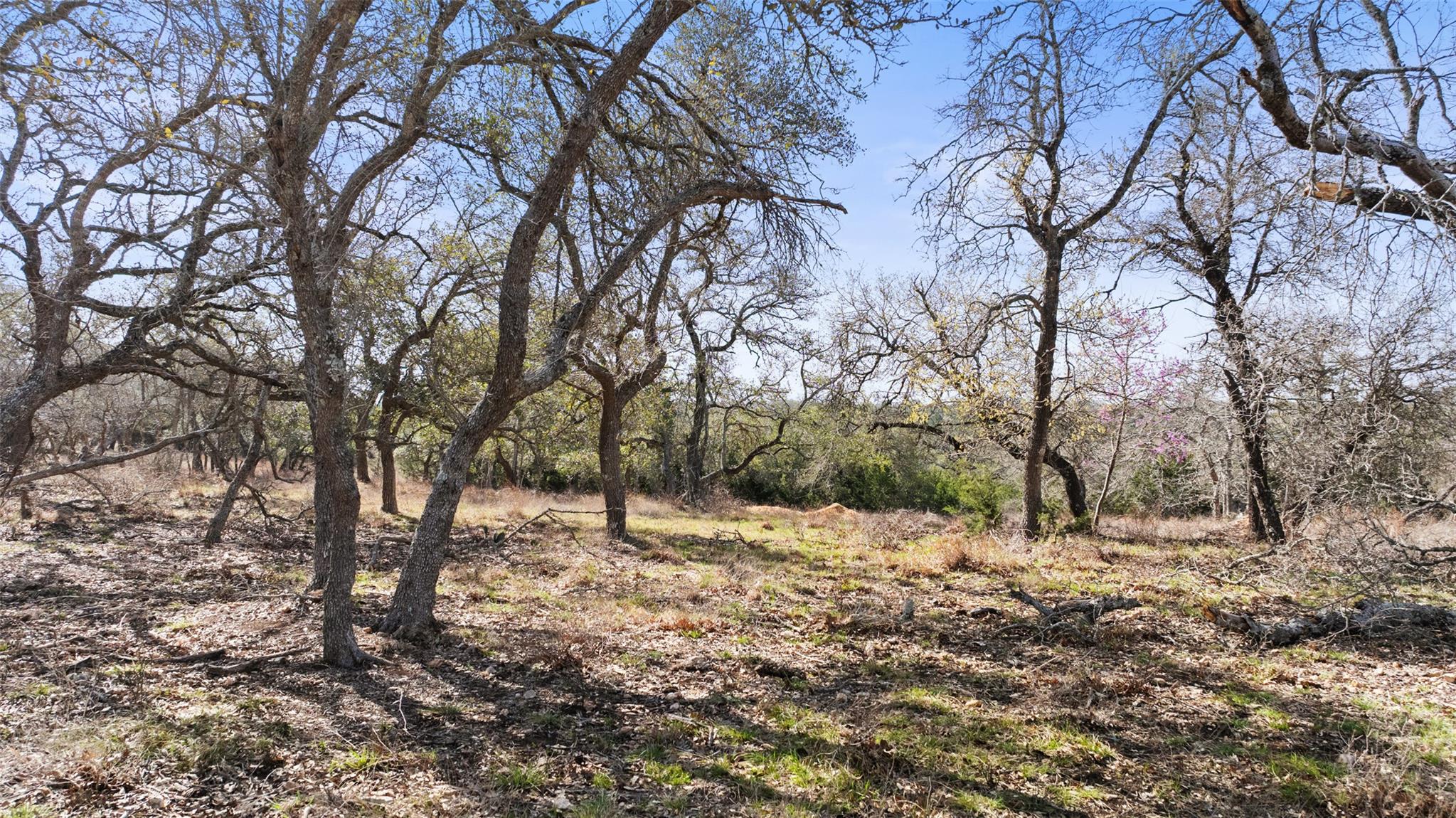 Tract 10 Ranch Road 1623 Property Photo 2