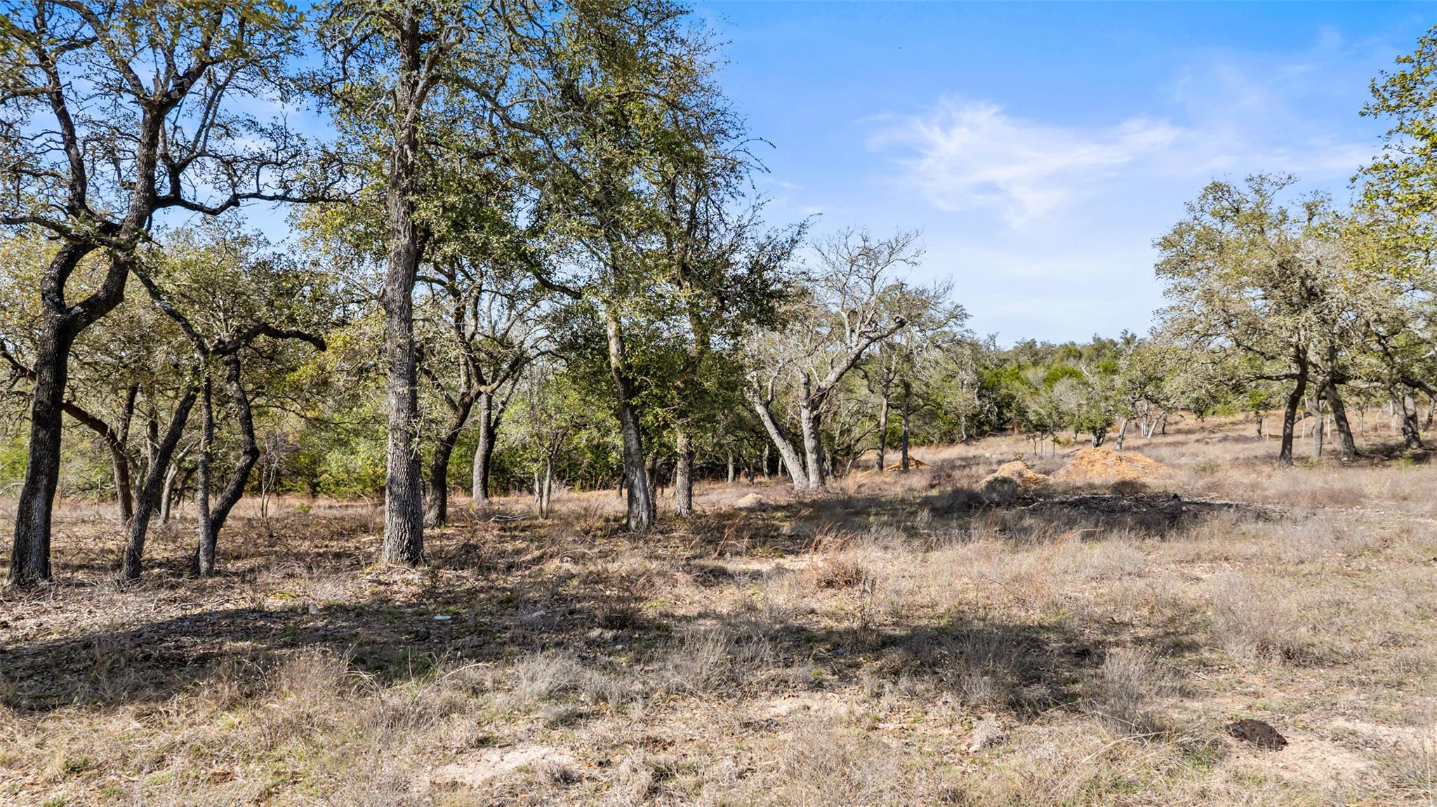 Tract 10 Ranch Road 1623 Property Photo 3
