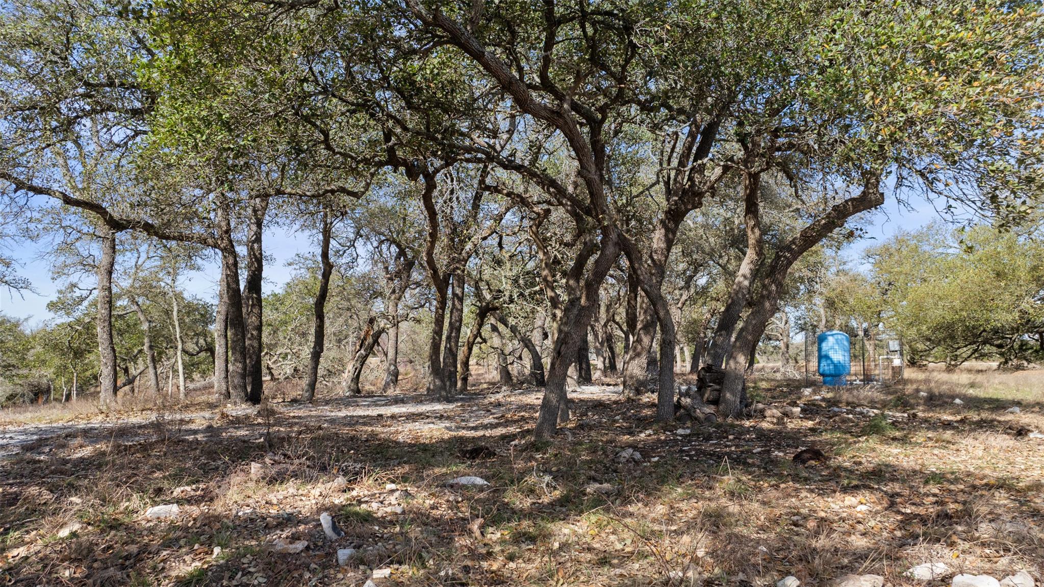 Tract 10 Ranch Road 1623 Property Photo 5