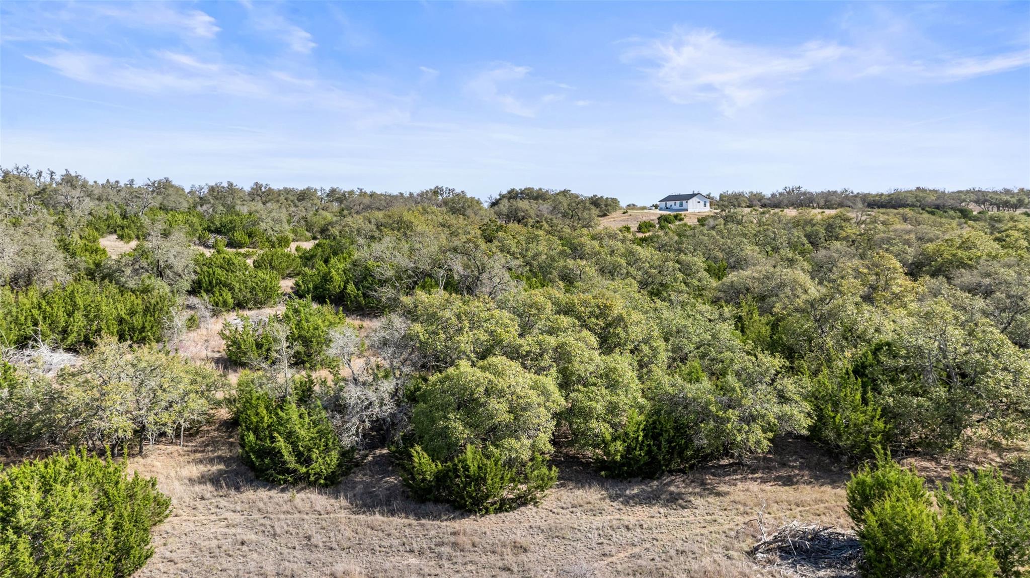 Tract 10 Ranch Road 1623 Property Photo 8