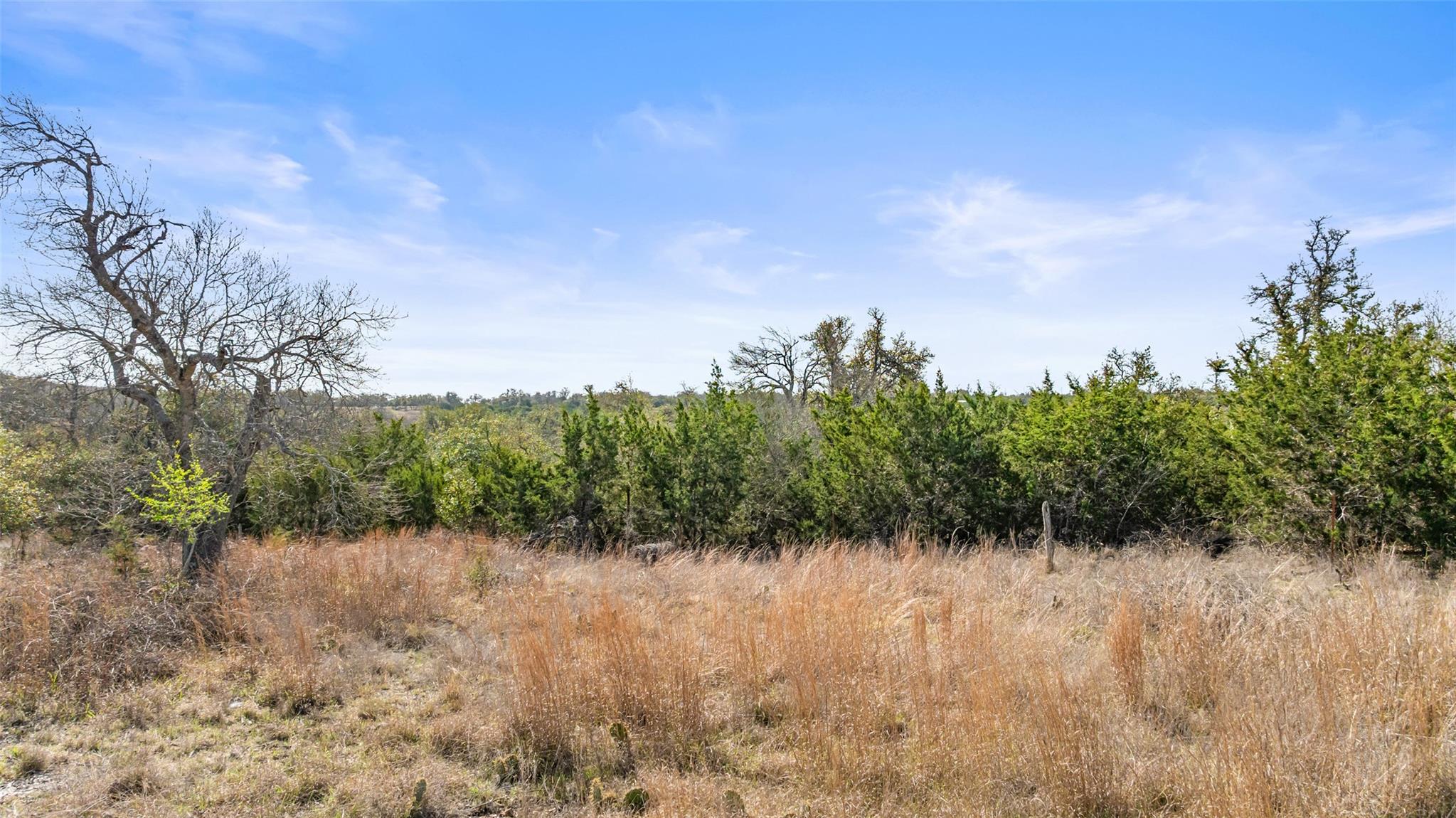 Tract 10 Ranch Road 1623 Property Photo 11