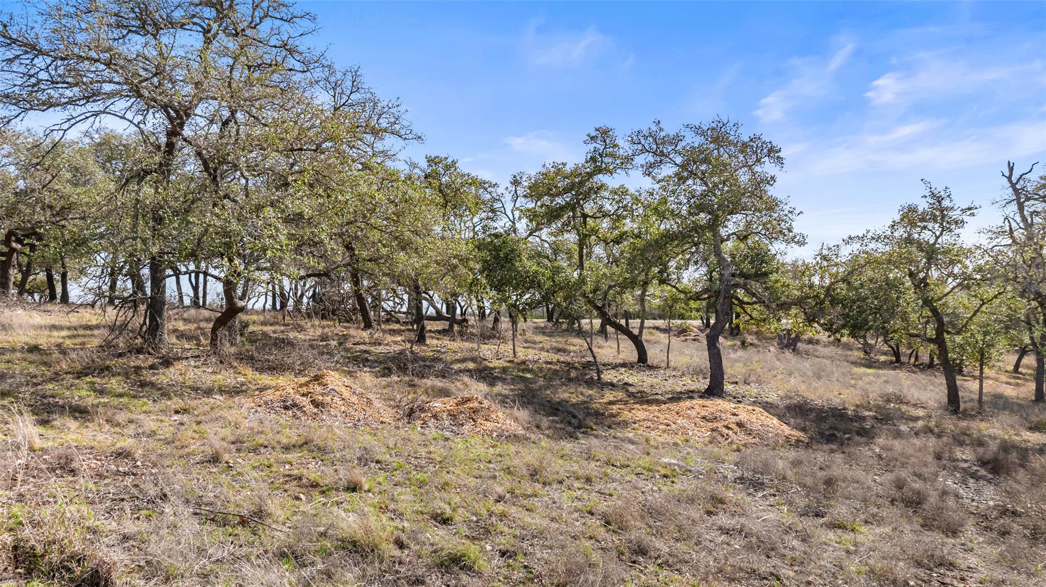 Tract 10 Ranch Road 1623 Property Photo 12