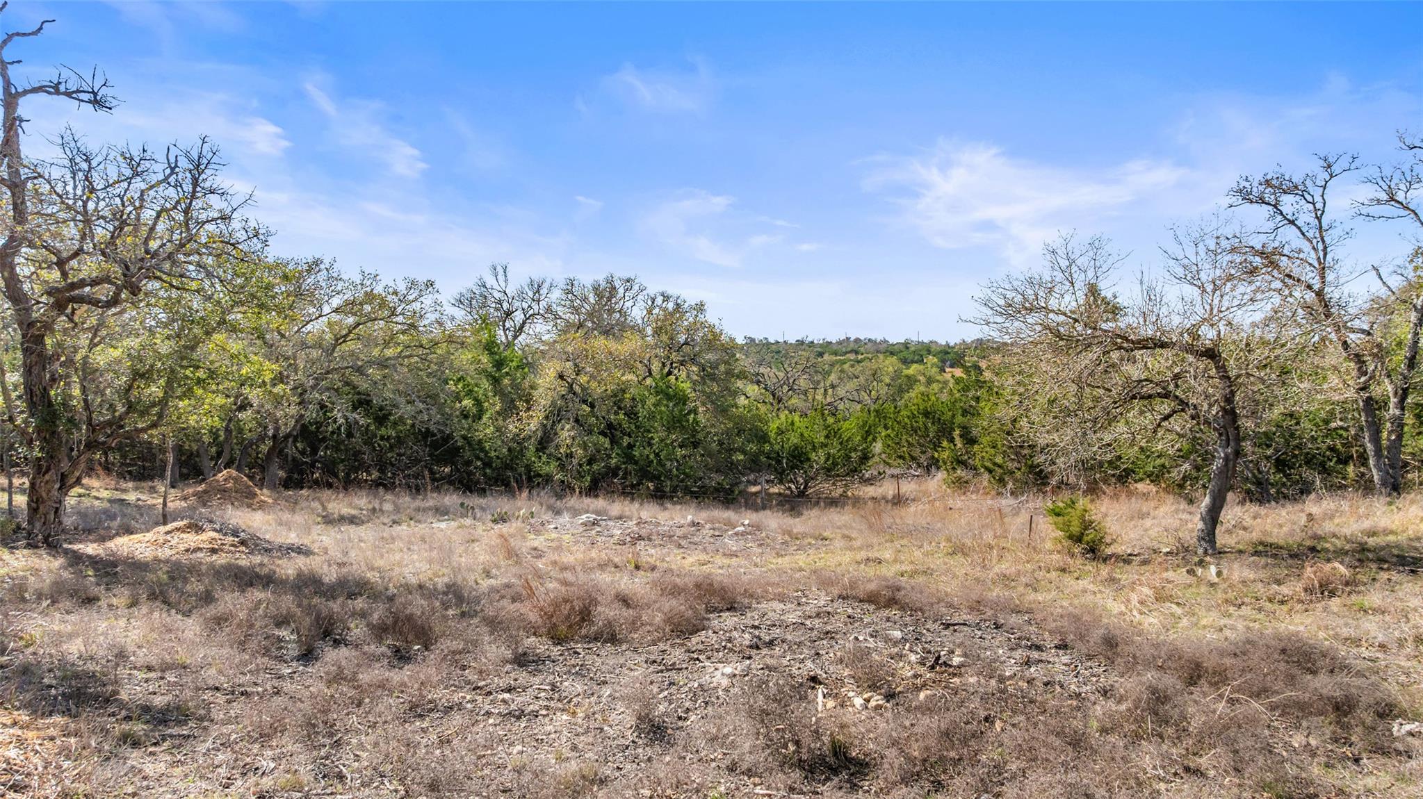 Tract 10 Ranch Road 1623 Property Photo 13