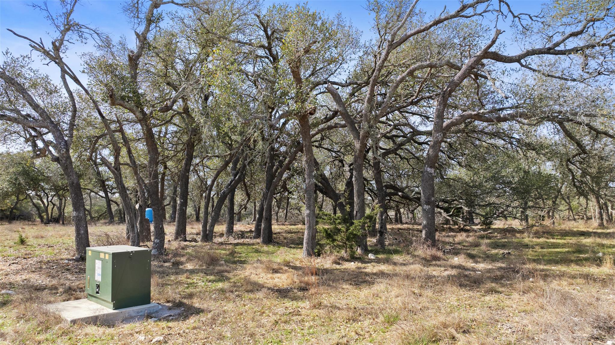 Tract 10 Ranch Road 1623 Property Photo 15
