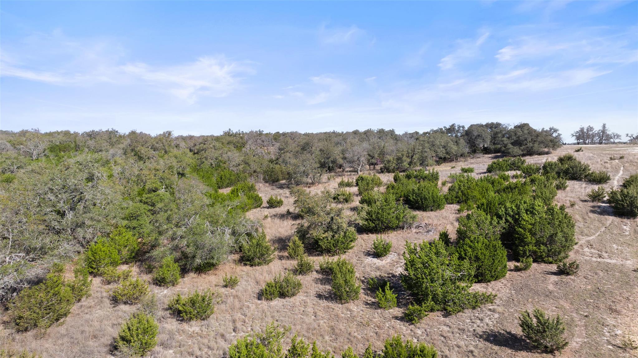 Tract 10 Ranch Road 1623 Property Photo 18