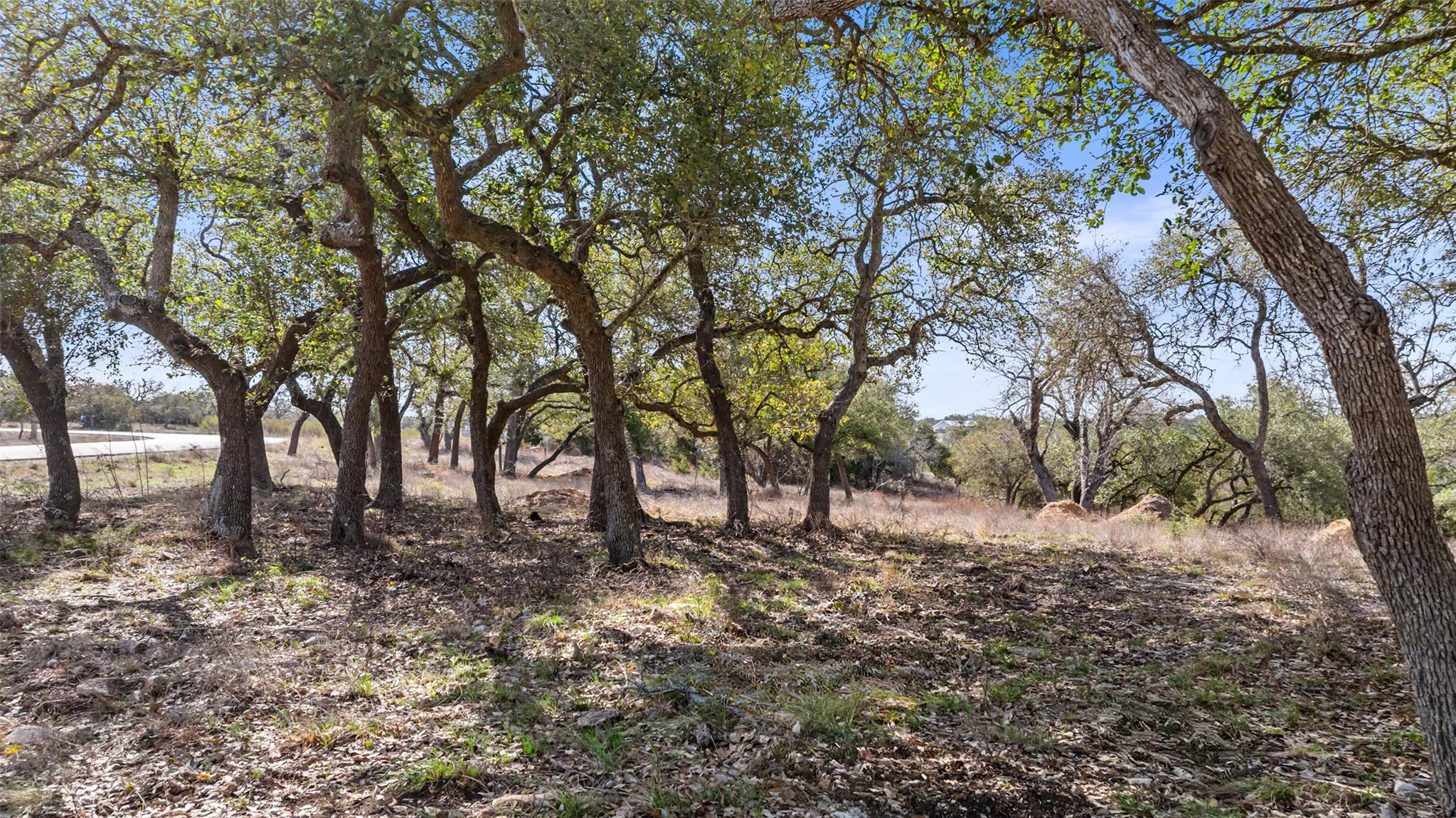 Tract 10 Ranch Road 1623 Property Photo 23