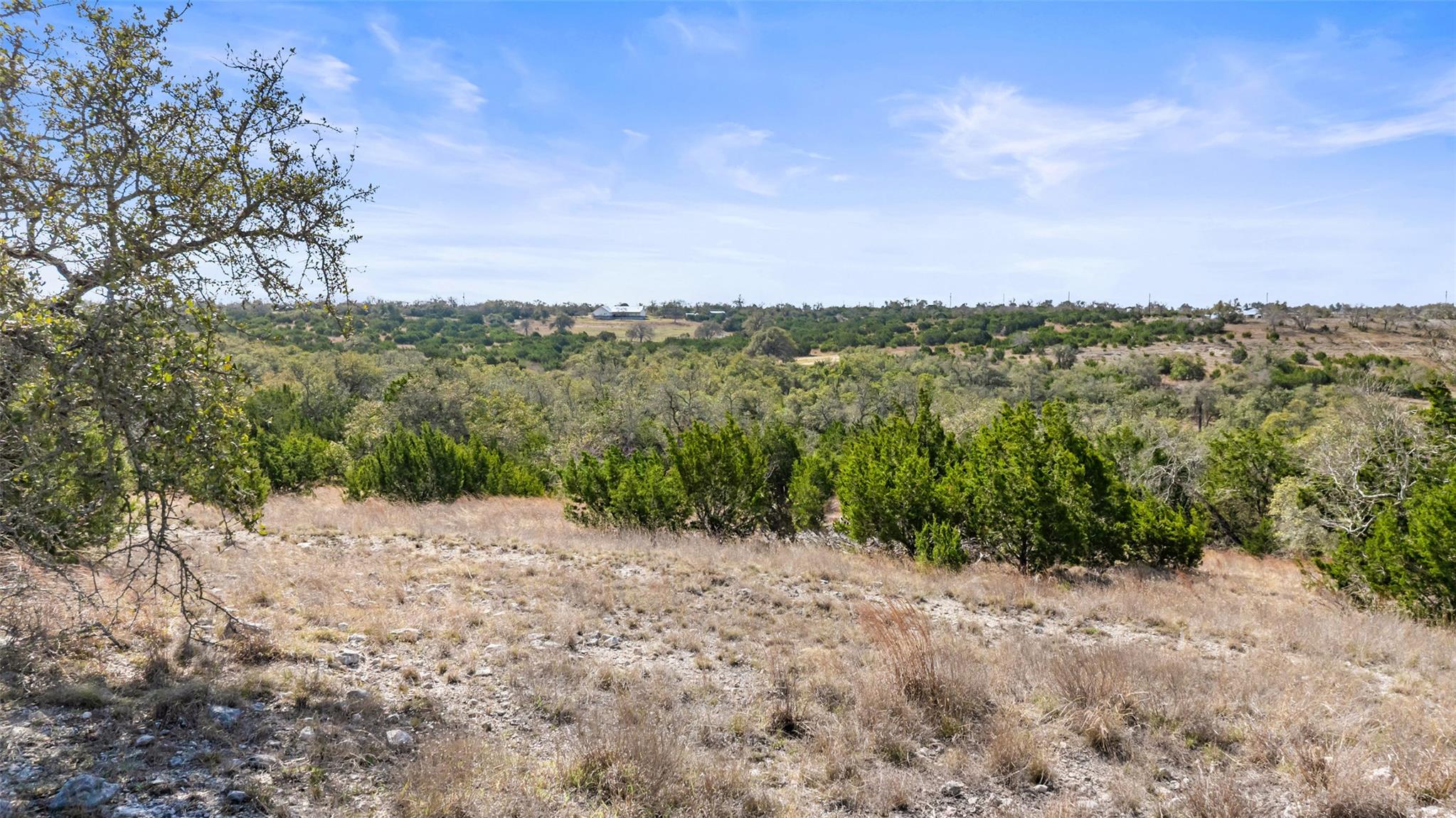Tract 10 Ranch Road 1623 Property Photo 26