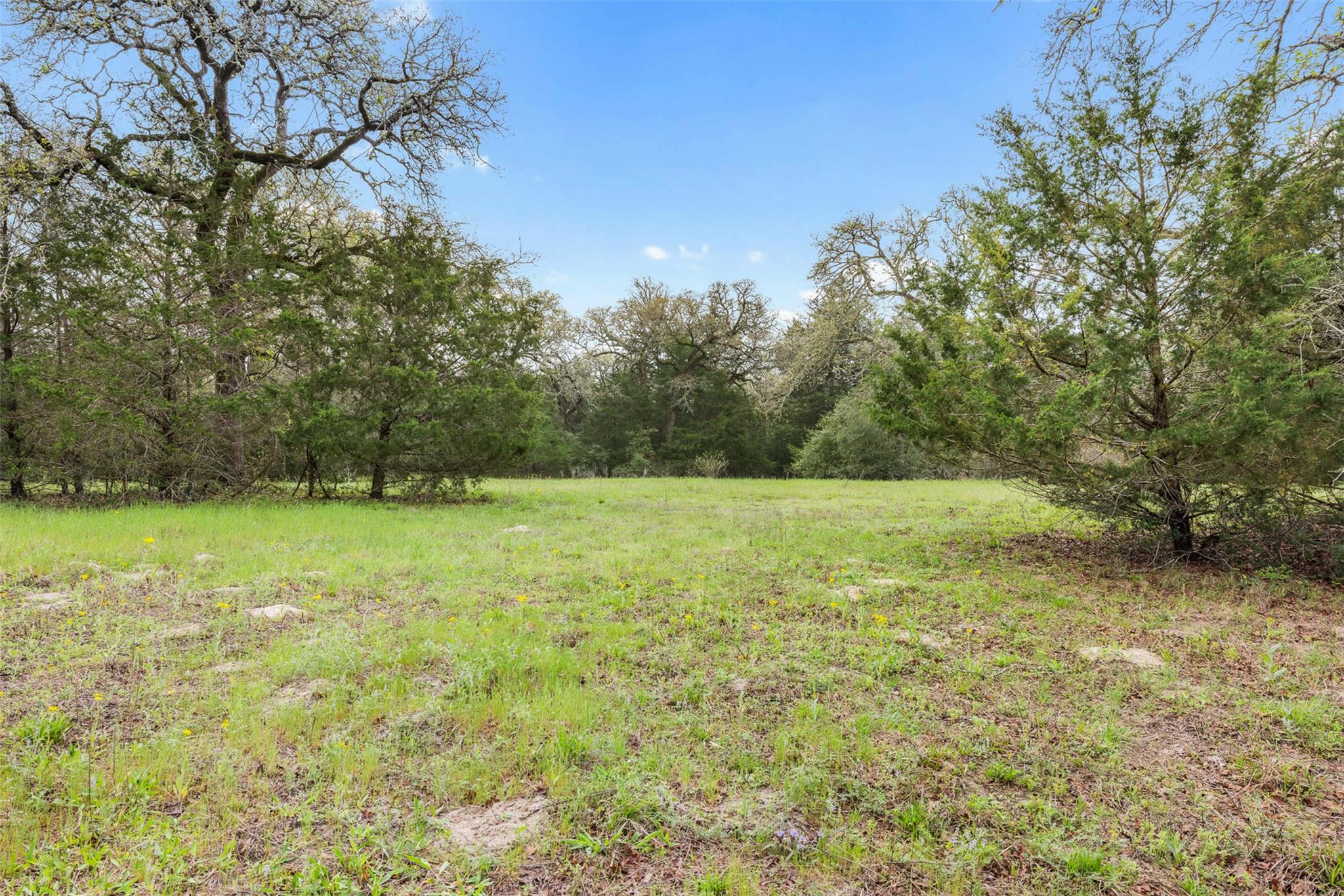 Tract 6 Acreage Estates Pauline Ln Property Photo 2