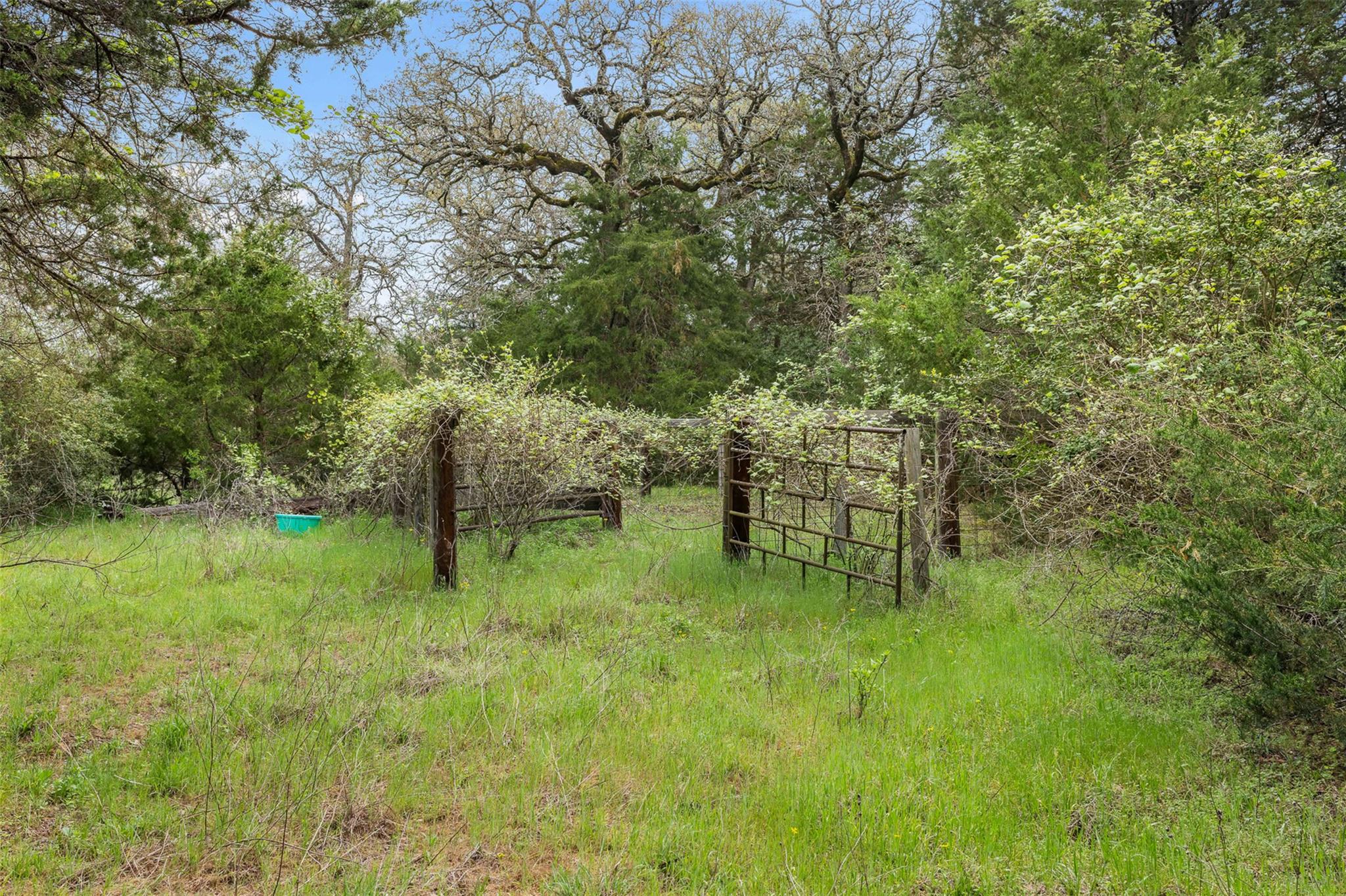 Tract 6 Acreage Estates Pauline Ln Property Photo 3