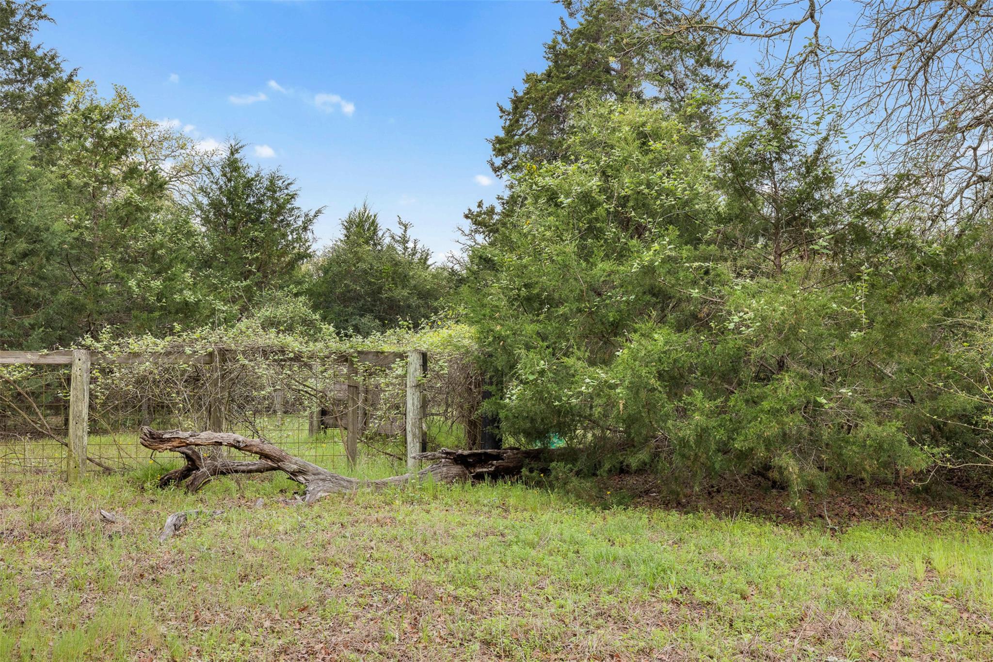 Tract 6 Acreage Estates Pauline Ln Property Photo 4