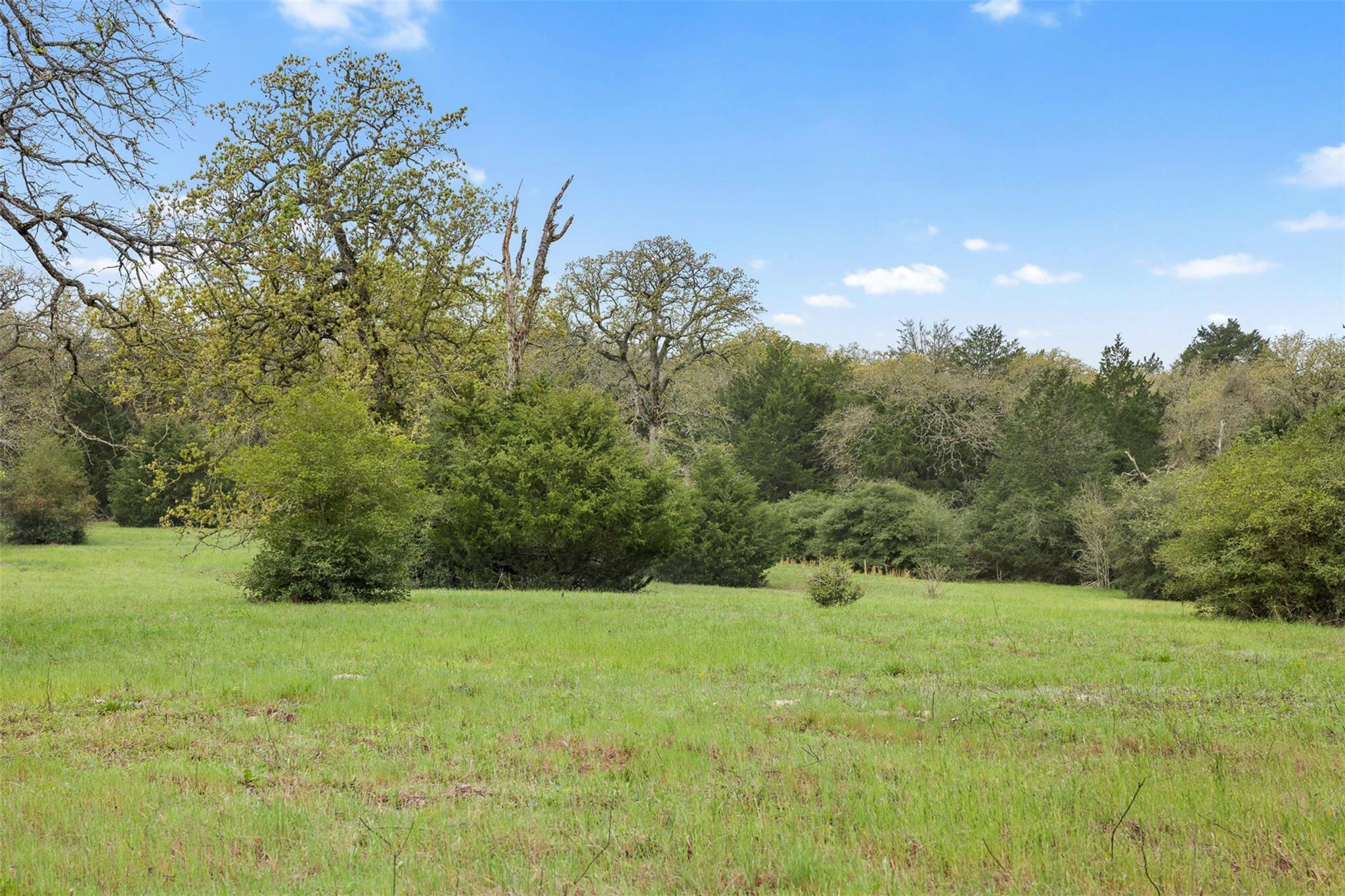 Tract 6 Acreage Estates Pauline Ln Property Photo 5