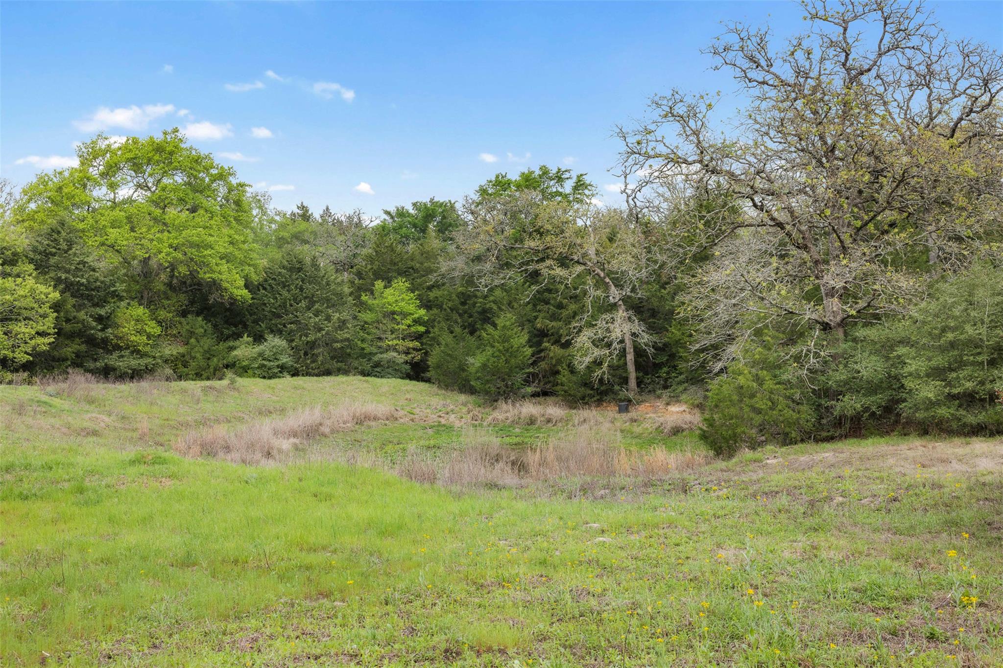 Tract 6 Acreage Estates Pauline Ln Property Photo 6