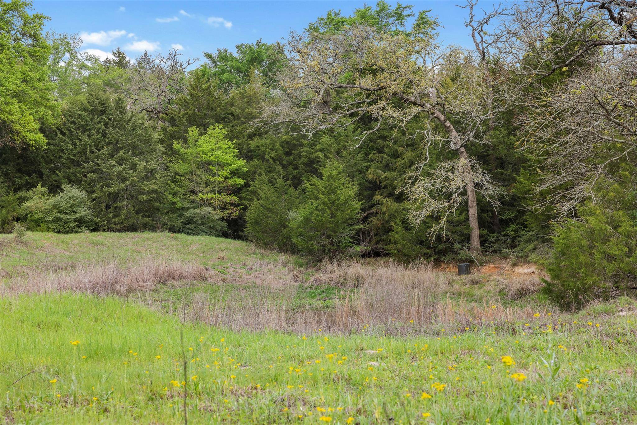Tract 6 Acreage Estates Pauline Ln Property Photo 7