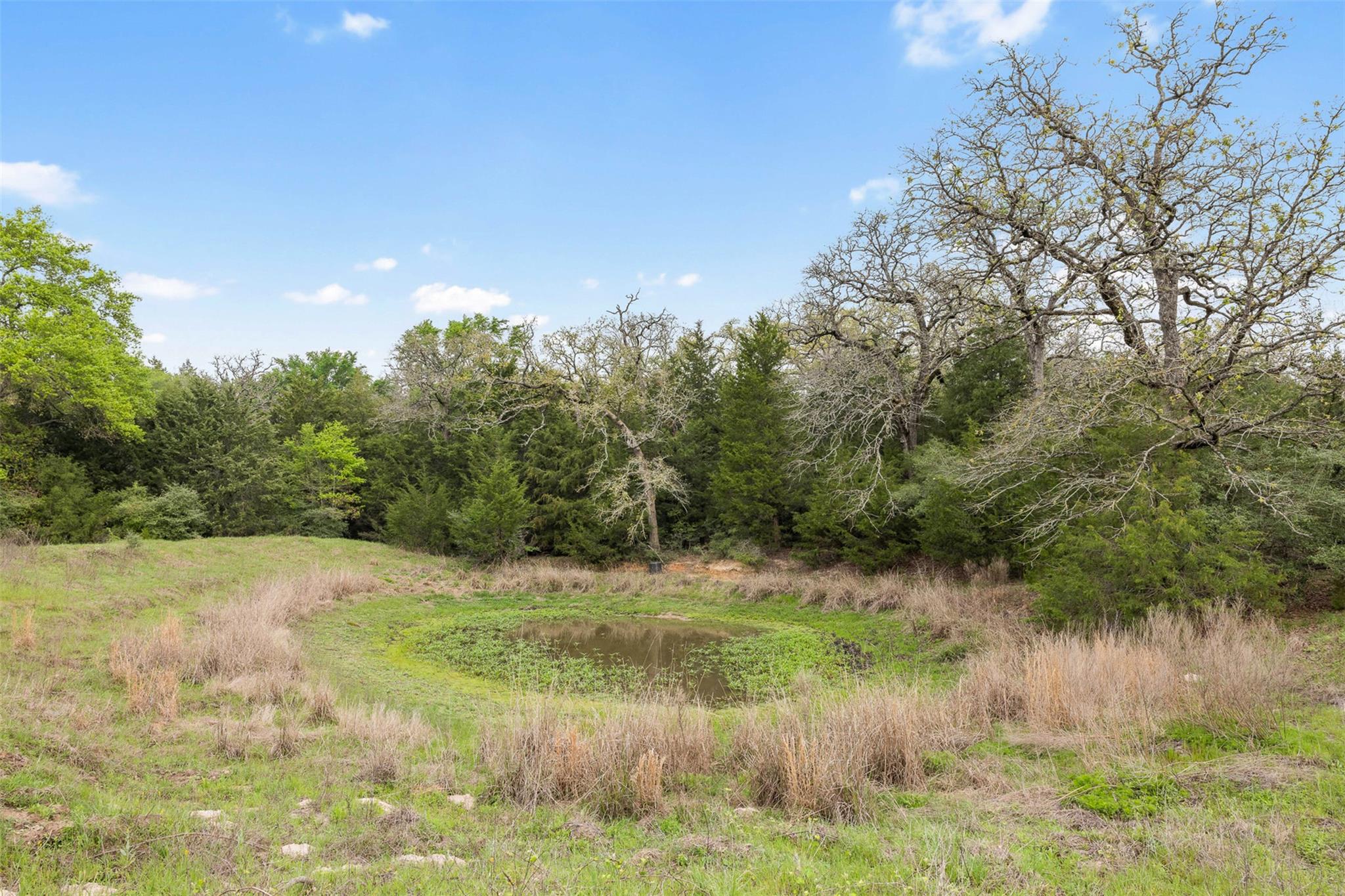Tract 6 Acreage Estates Pauline Ln Property Photo 8