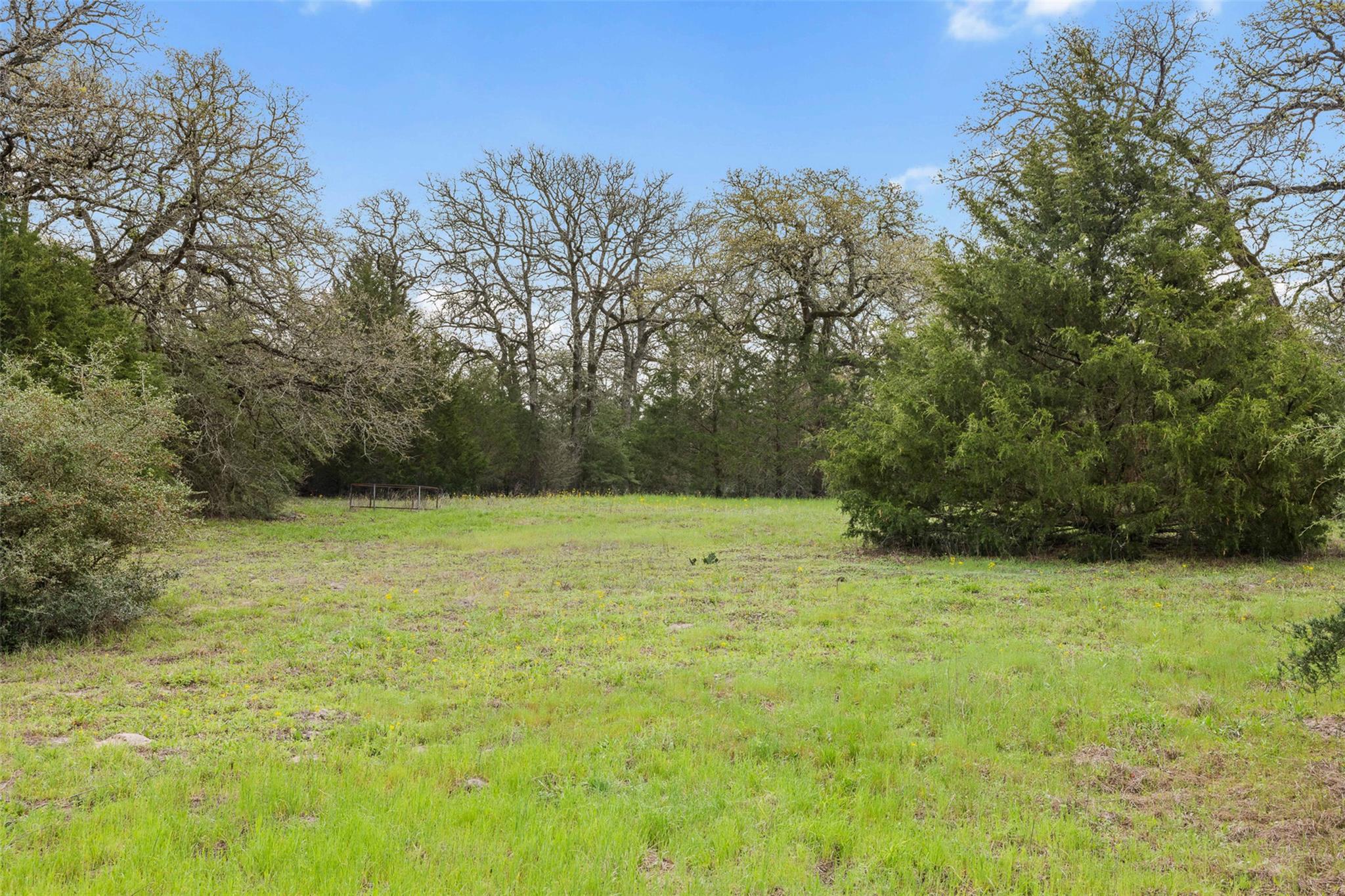 Tract 6 Acreage Estates Pauline Ln Property Photo 9