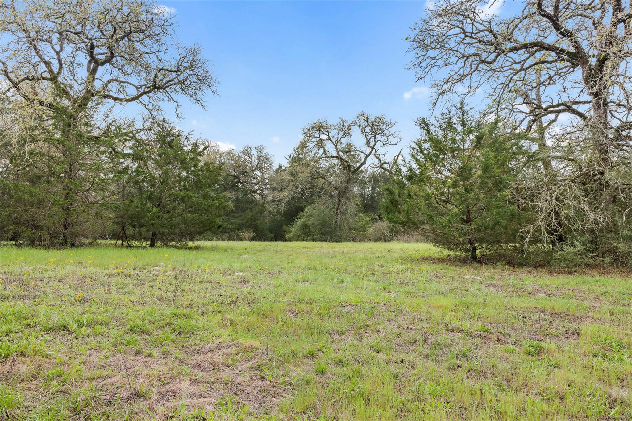 Tract 6 Acreage Estates Pauline Ln Property Photo 10