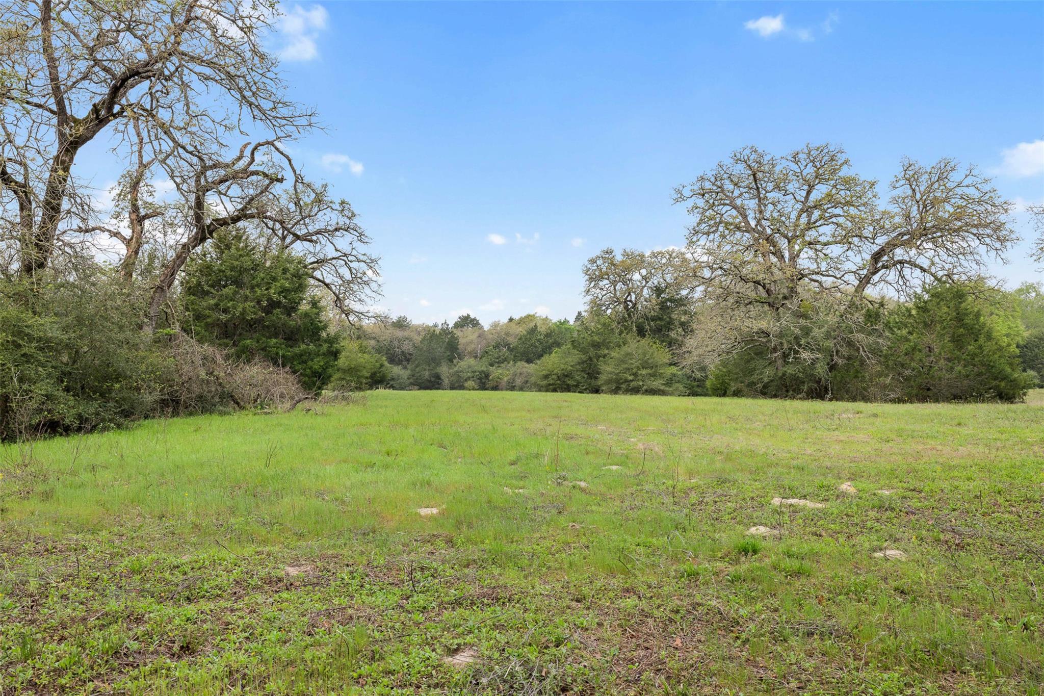 Tract 6 Acreage Estates Pauline Ln Property Photo 11