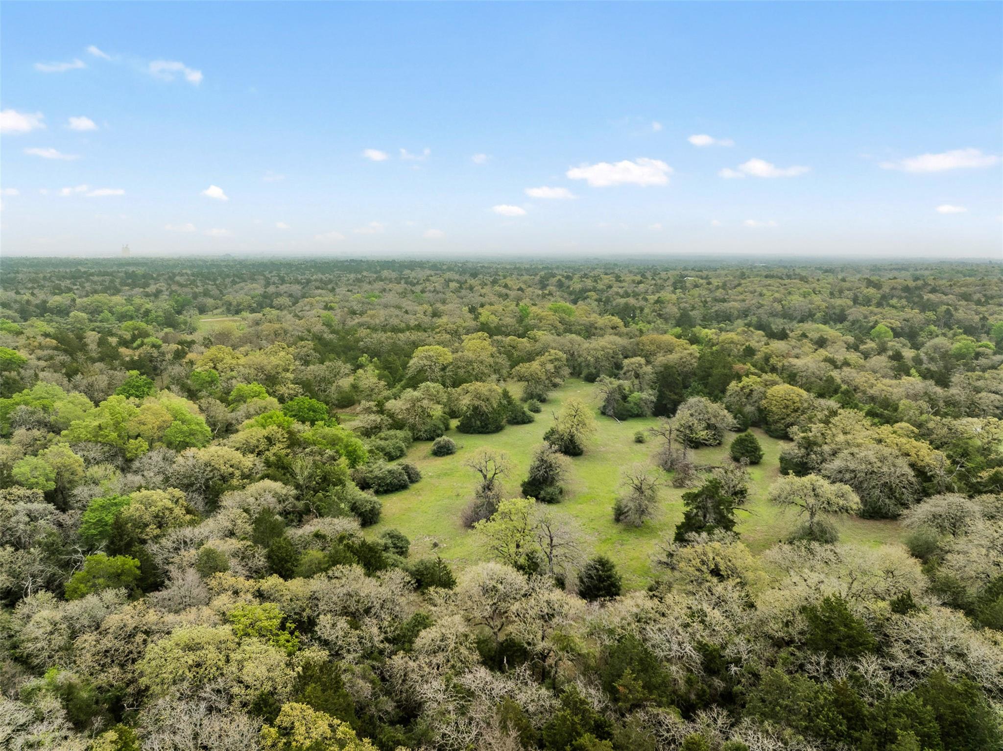 Tract 6 Acreage Estates Pauline Ln Property Photo 12