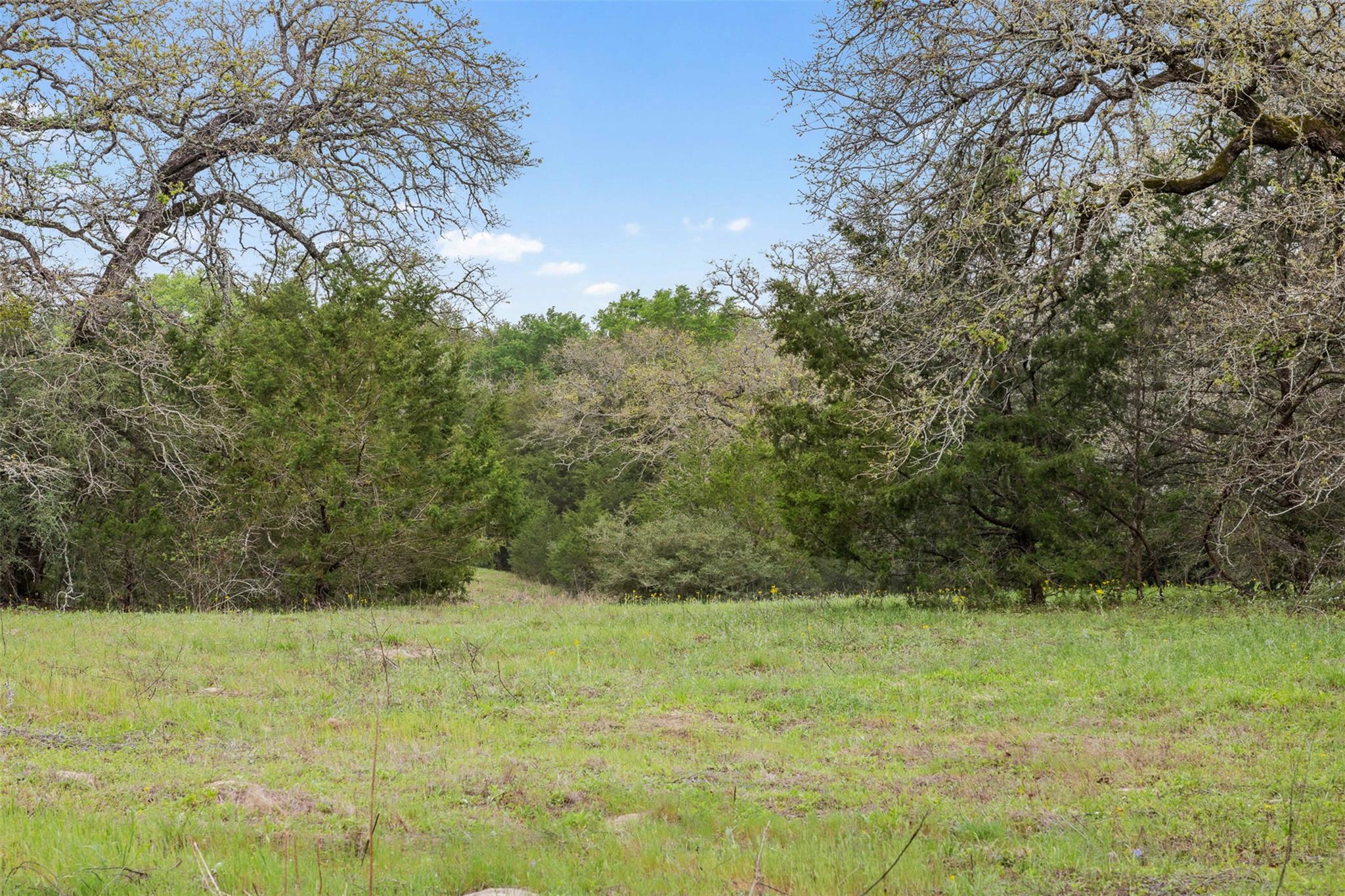 Tract 6 Acreage Estates Pauline Ln Property Photo 13