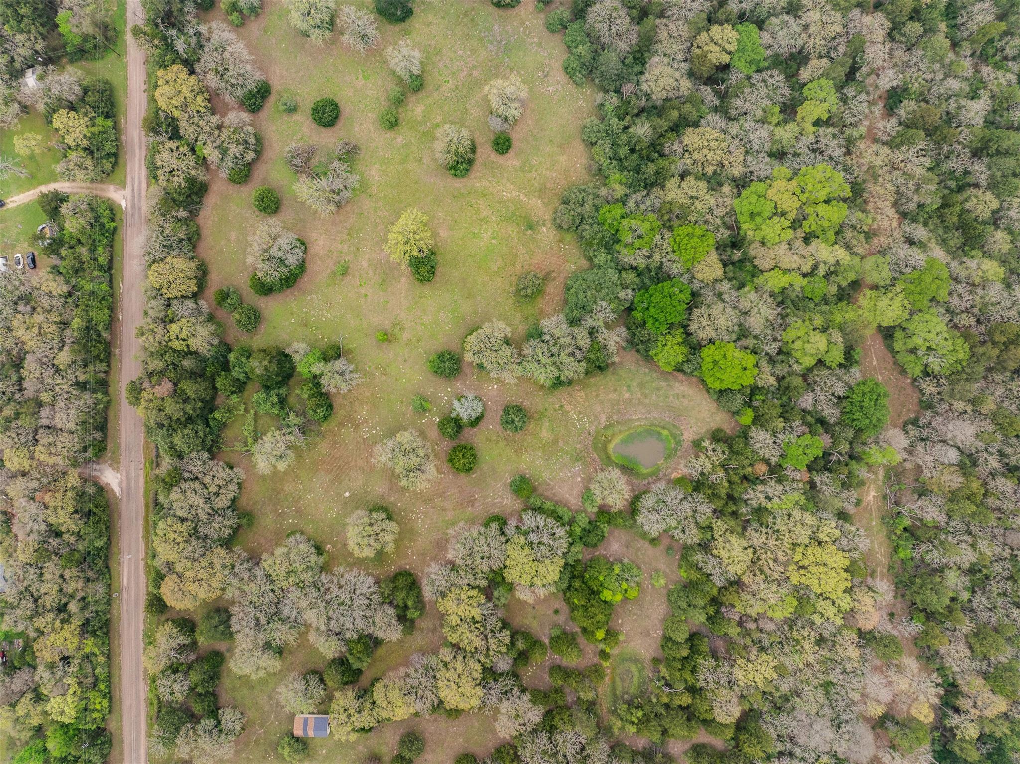 Tract 6 Acreage Estates Pauline Ln Property Photo 14