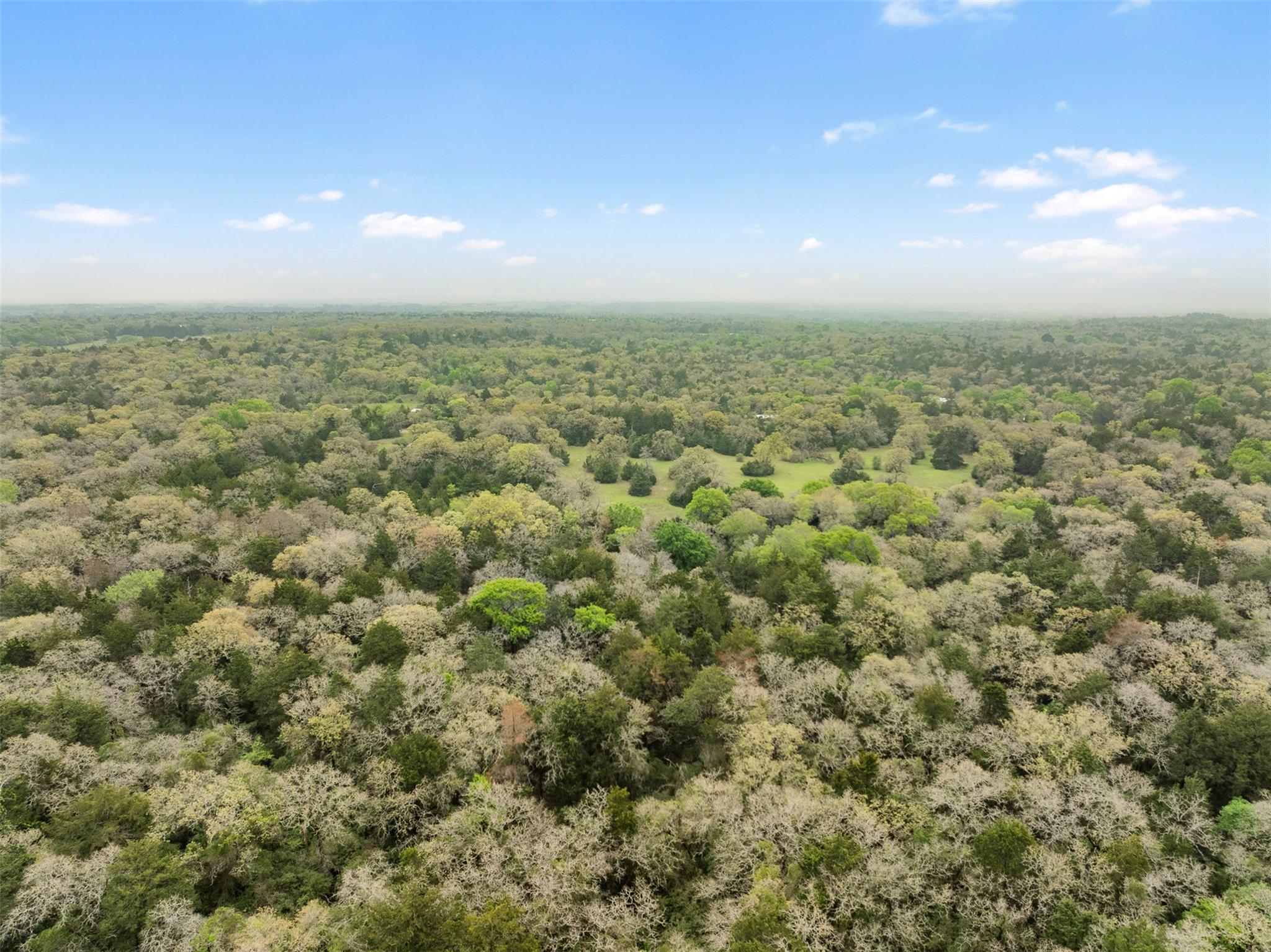 Tract 6 Acreage Estates Pauline Ln Property Photo 15