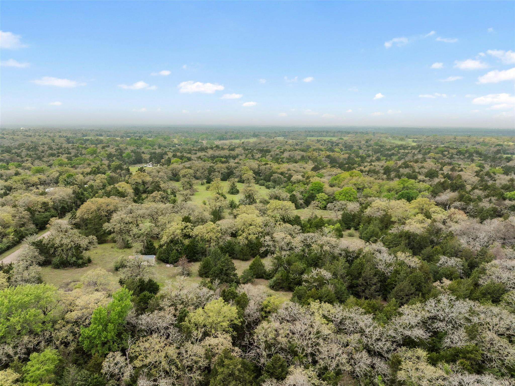 Tract 6 Acreage Estates Pauline Ln Property Photo 17