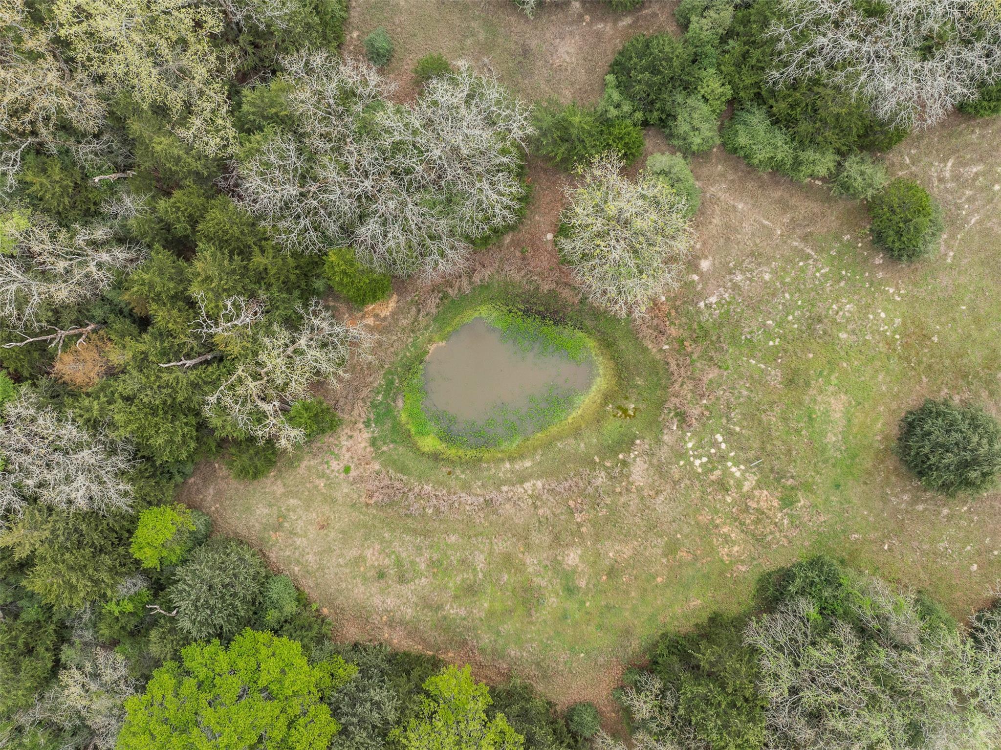 Tract 6 Acreage Estates Pauline Ln Property Photo 18