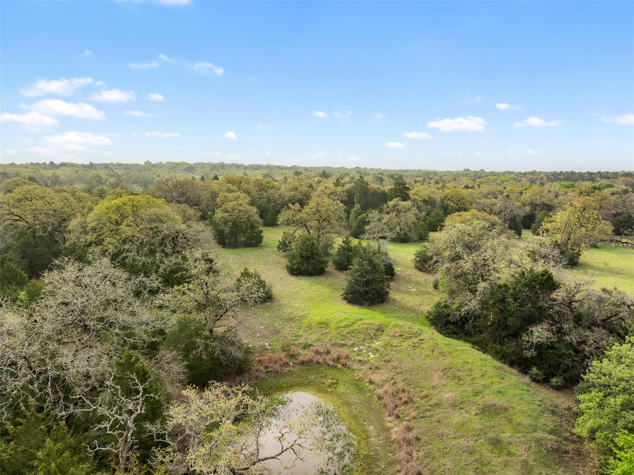 Tract 6 Acreage Estates Pauline Ln Property Photo 19