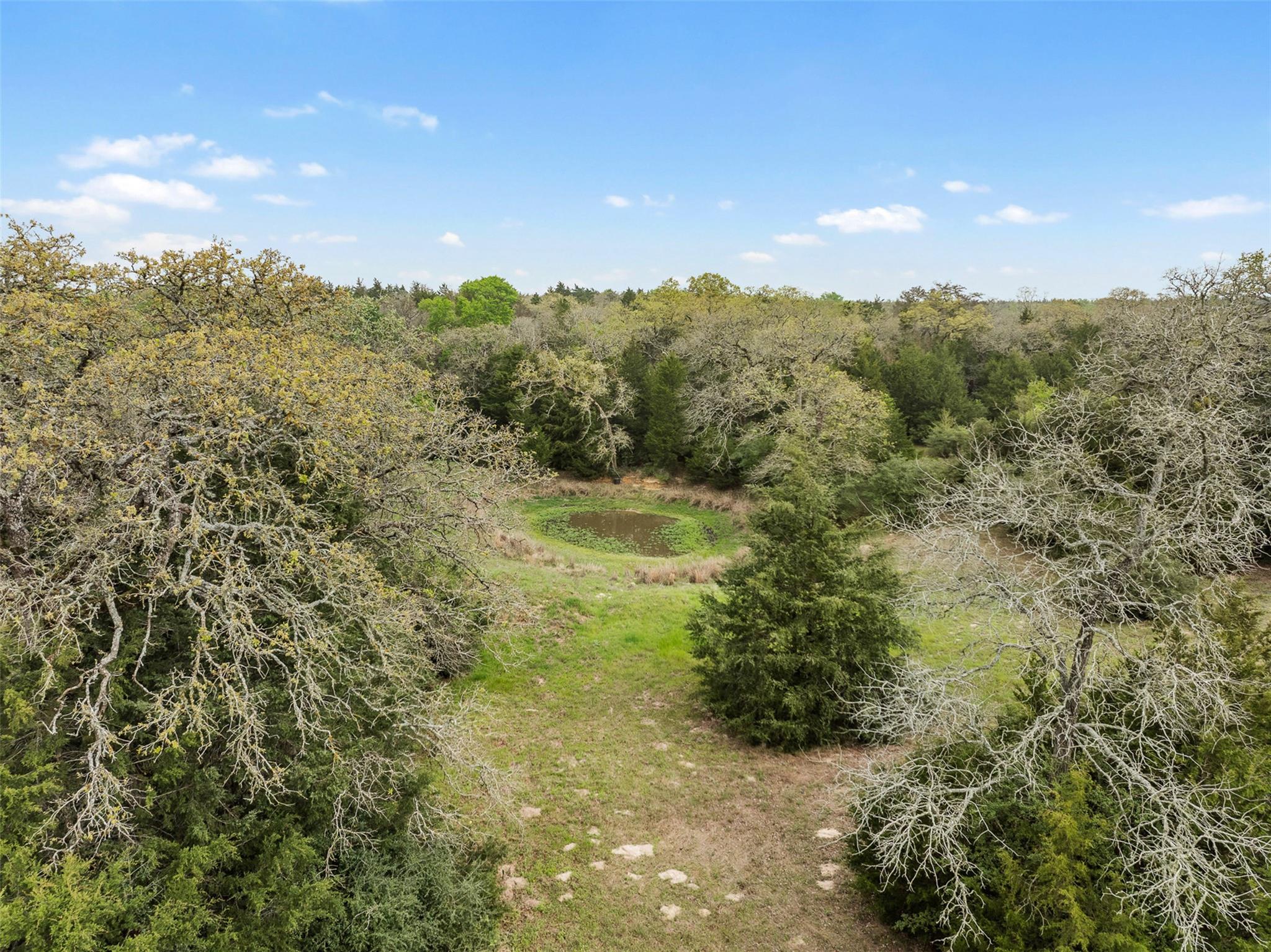Tract 6 Acreage Estates Pauline Ln Property Photo 20