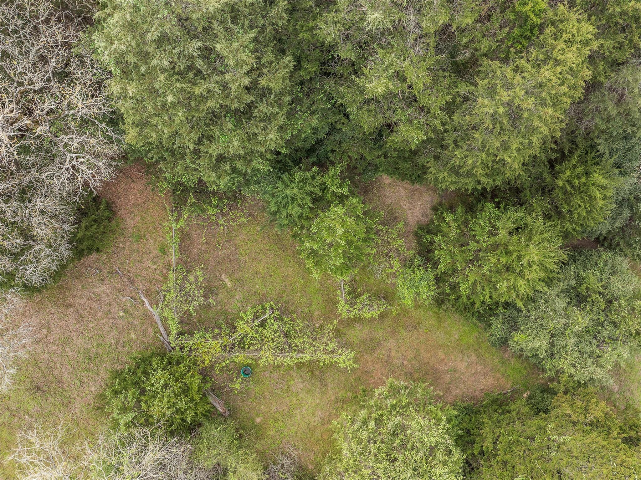 Tract 6 Acreage Estates Pauline Ln Property Photo 21