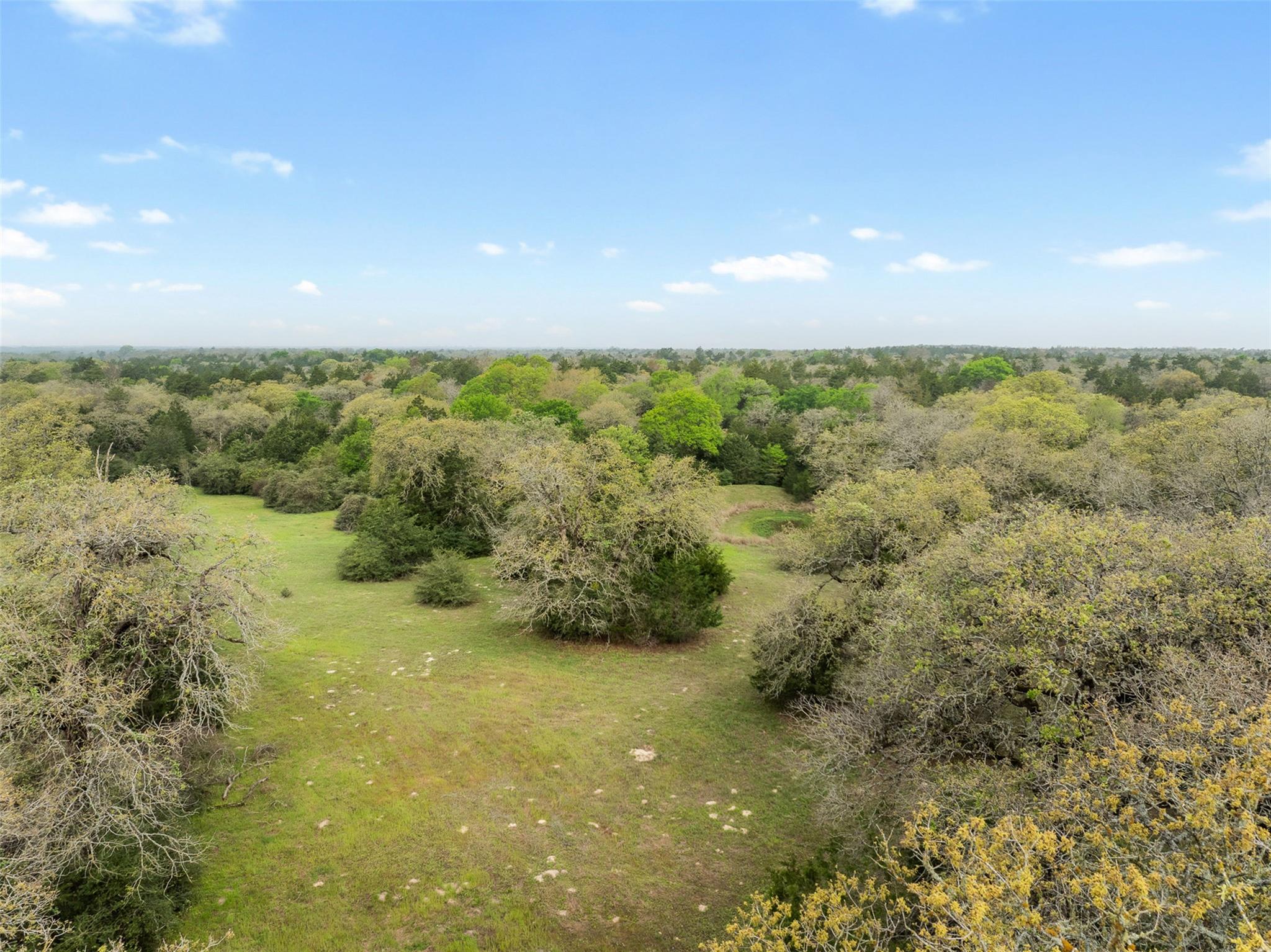 Tract 6 Acreage Estates Pauline Ln Property Photo 22
