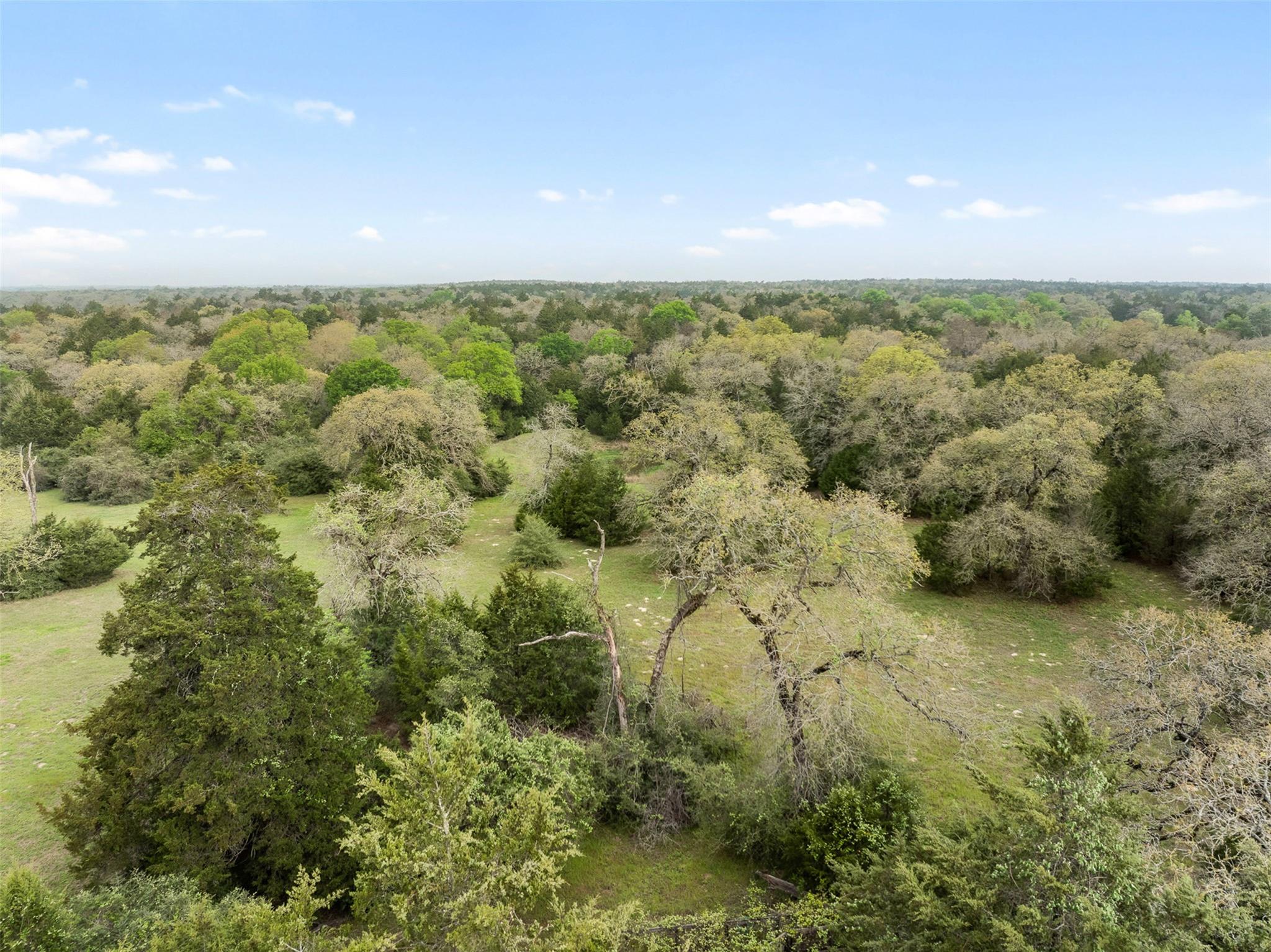 Tract 6 Acreage Estates Pauline Ln Property Photo 23
