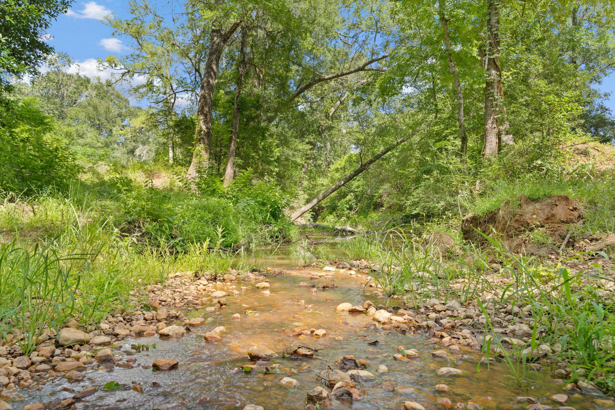 Tbd (tracts 11 & 12) St Delight Rd Property Photo 3