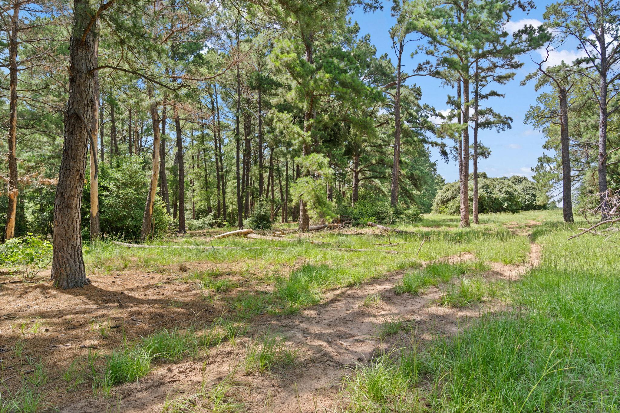 Tbd (tracts 11 & 12) St Delight Rd Property Photo 5