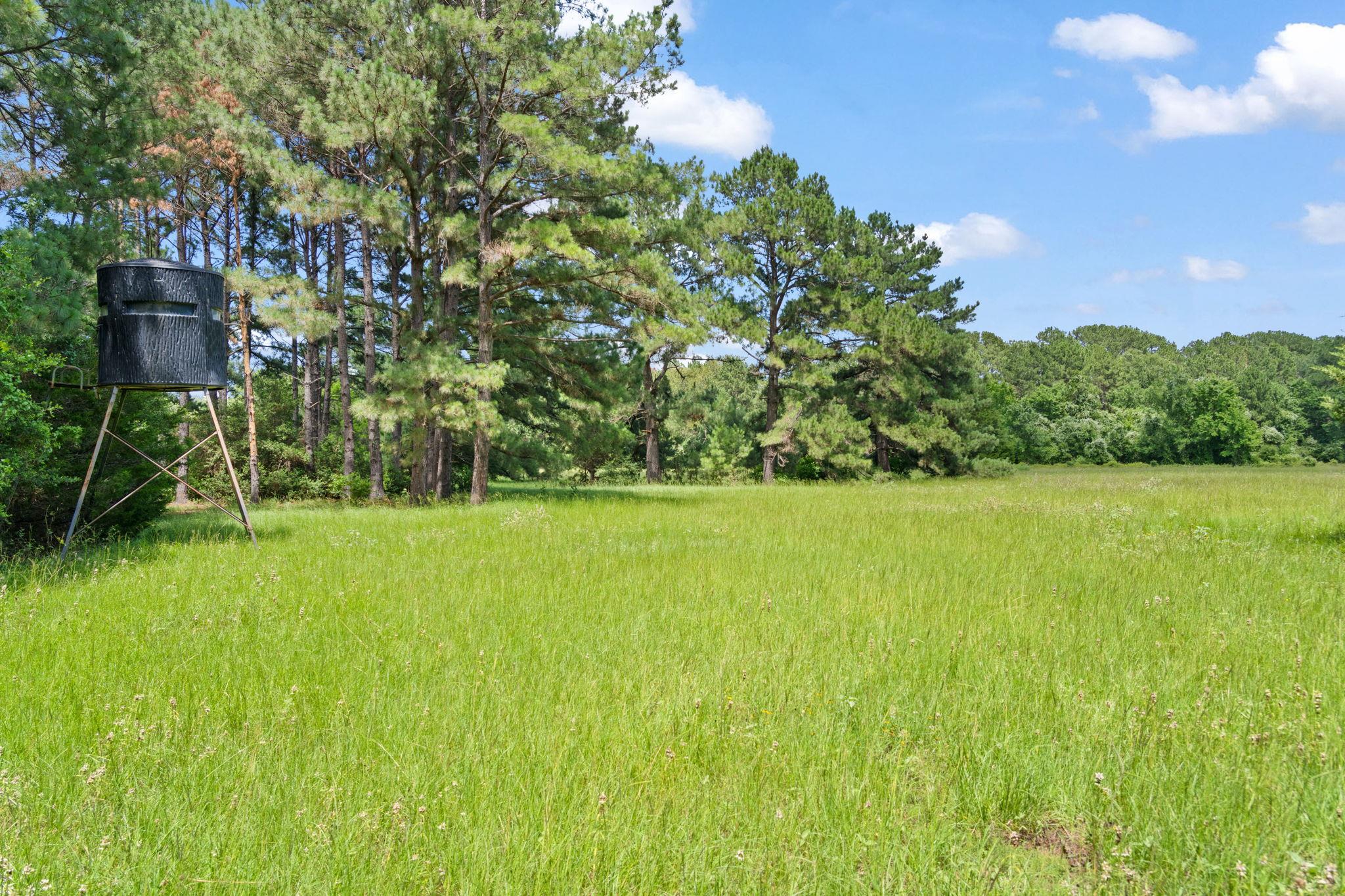 Tbd (tracts 11 & 12) St Delight Rd Property Photo 21
