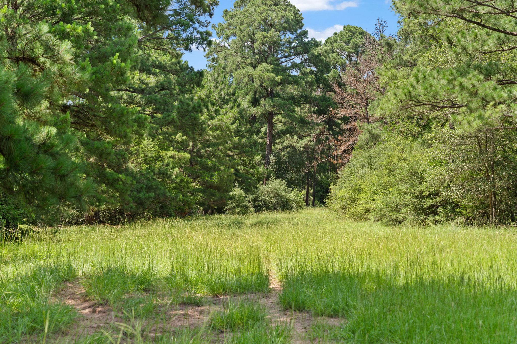 Tbd (tracts 11 & 12) St Delight Rd Property Photo 23