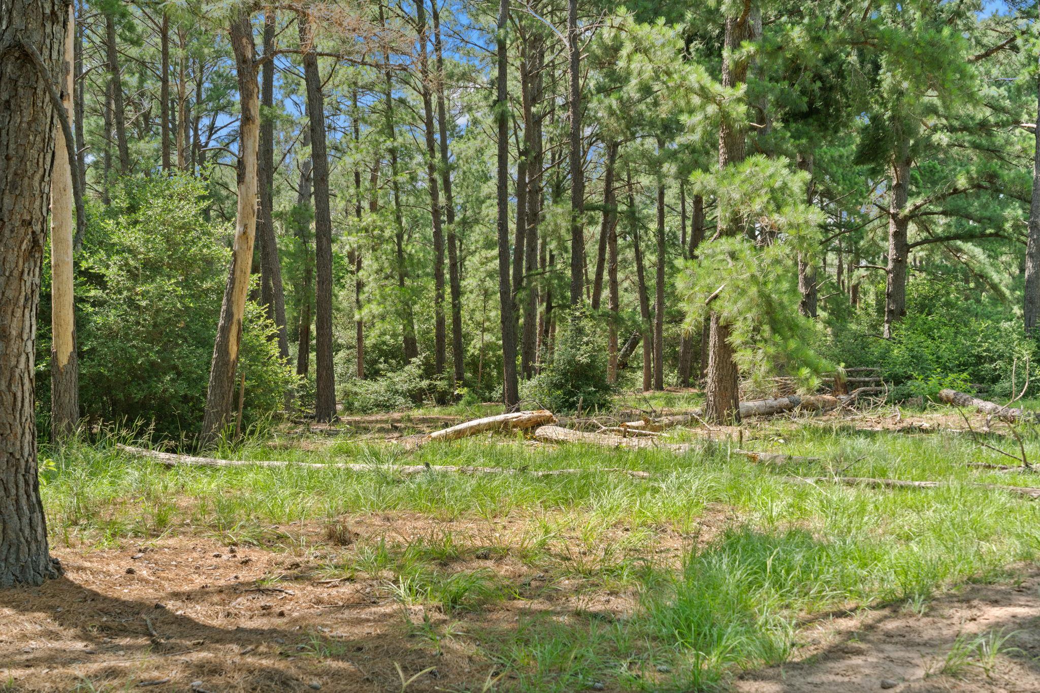 Tbd (tracts 11 & 12) St Delight Rd Property Photo 24