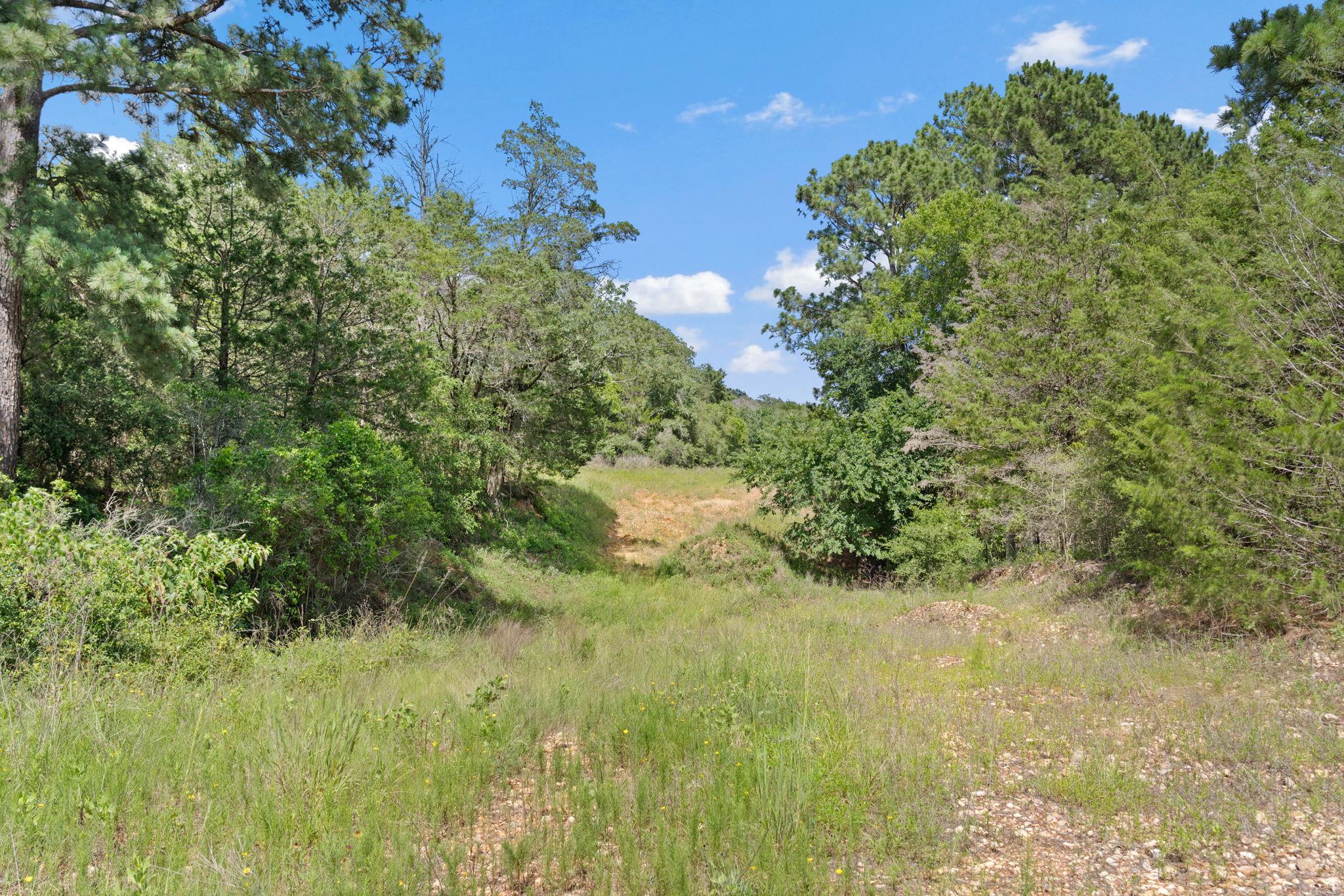 Tbd (tracts 11 & 12) St Delight Rd Property Photo 34