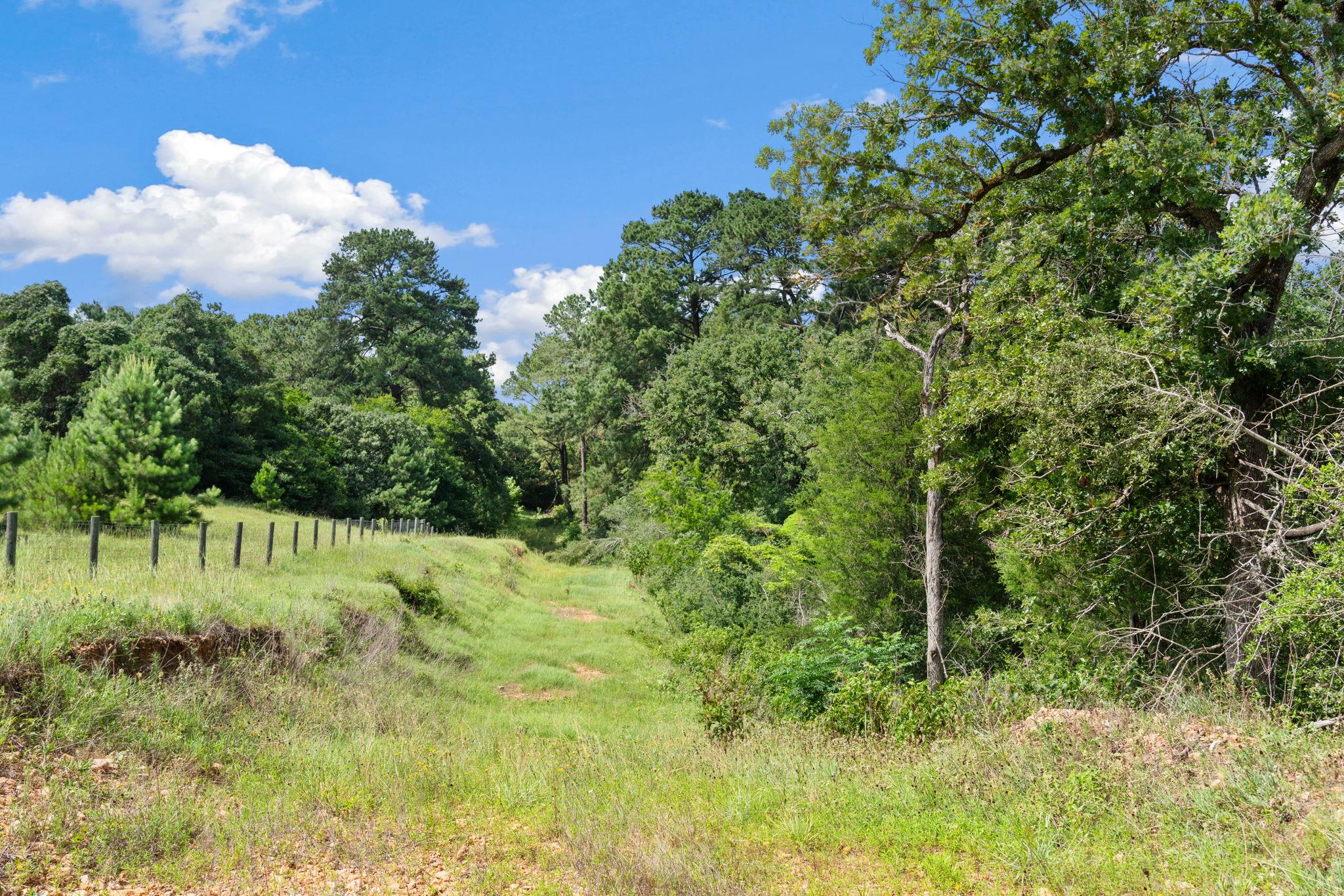 Tbd (tracts 11 & 12) St Delight Rd Property Photo 37