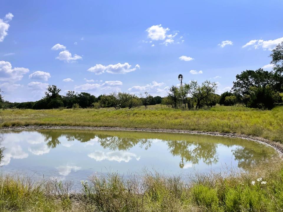 153 Live Oak Mott Dr Property Photo 1