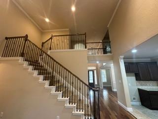 4524 Cervinia Dr Property Photo 21