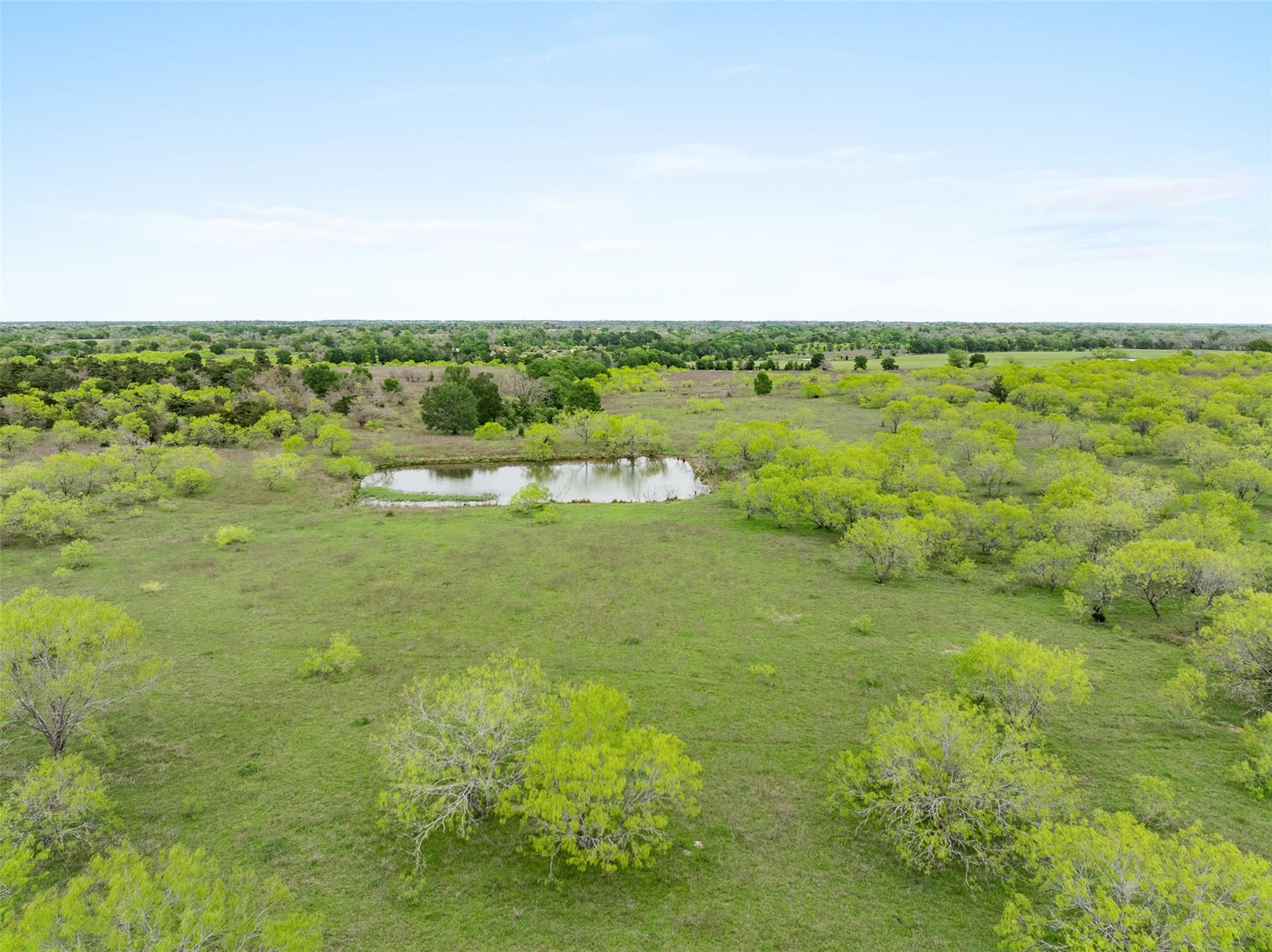 Tbd (+/- 40 Acres) County Road 106 Property Photo 1