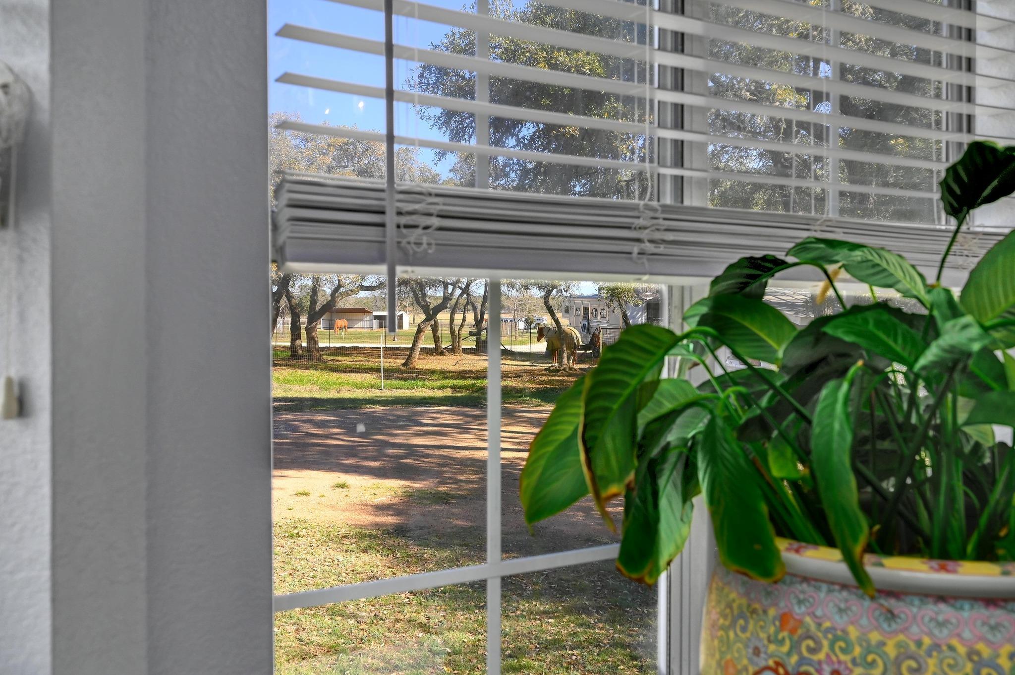 384 Sunset Rdg Property Photo 12