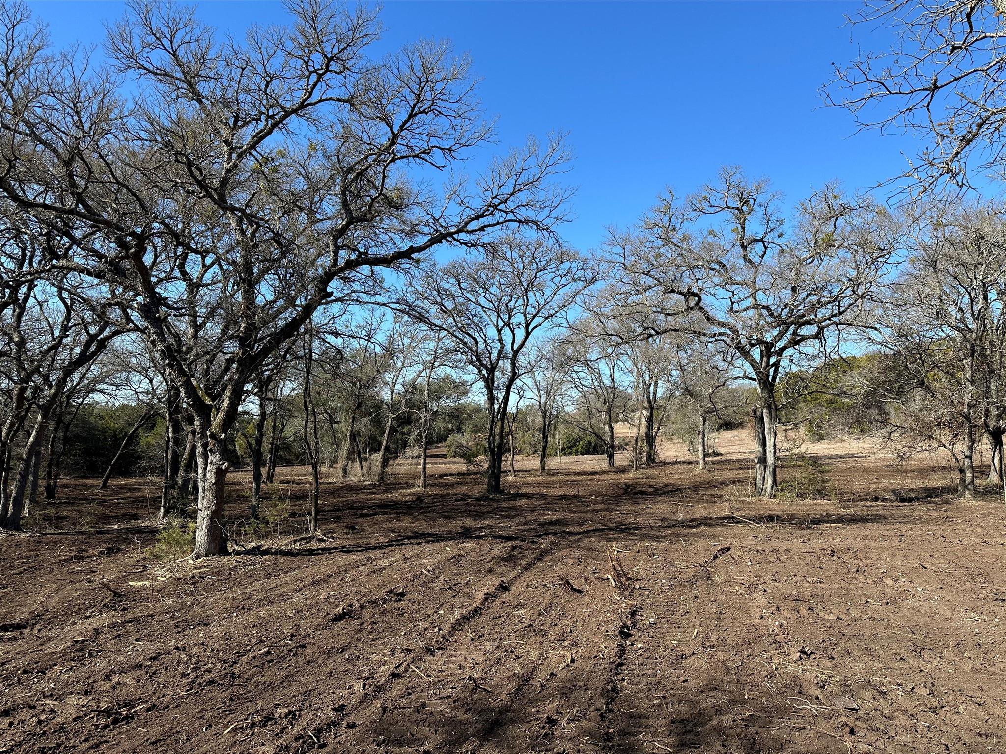 Tract 1 Fm 2955 Property Photo 1