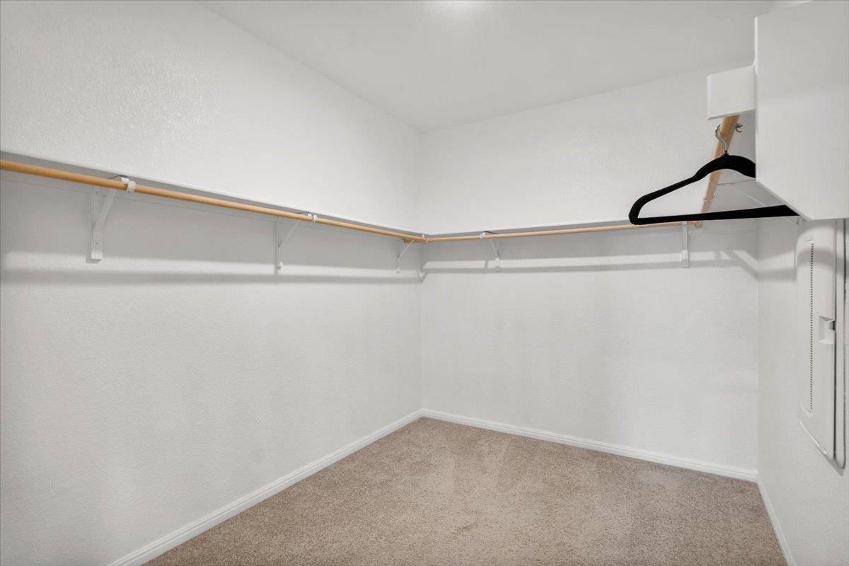 2613 Indian Clover Trl Property Photo 35