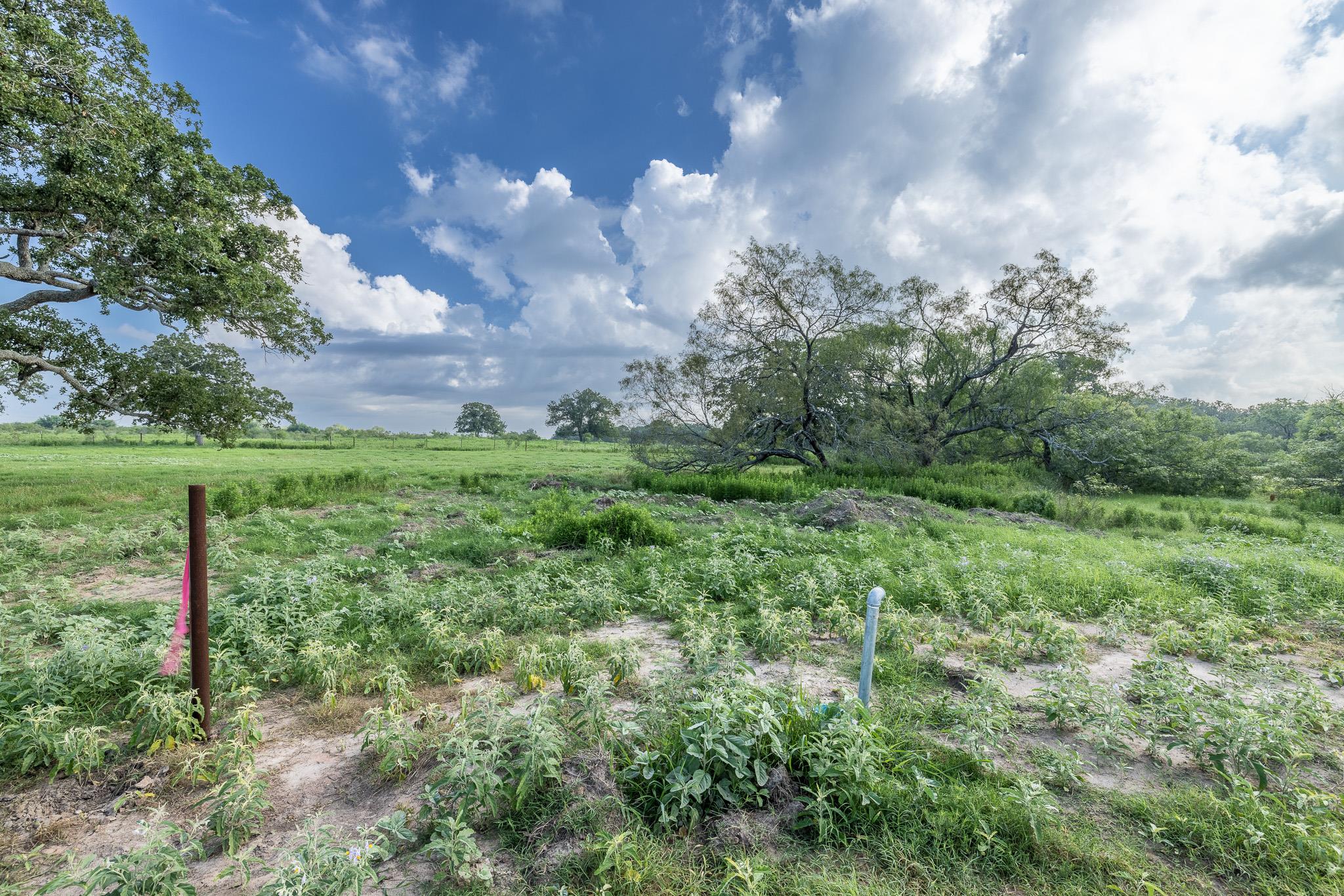 Lot 1-e County Road 491 Property Photo