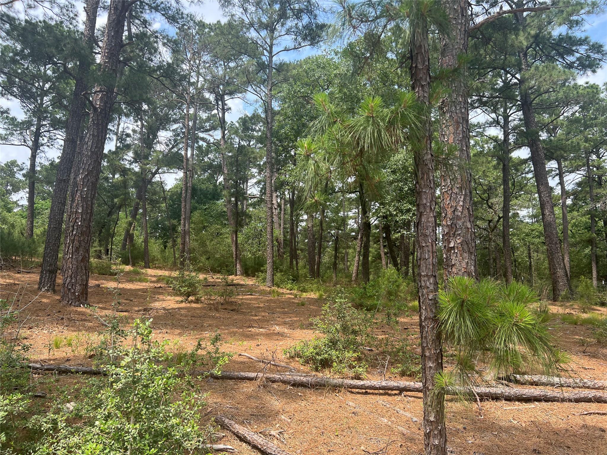 Lot 90 N. Hill Ridge Dr Property Photo 1