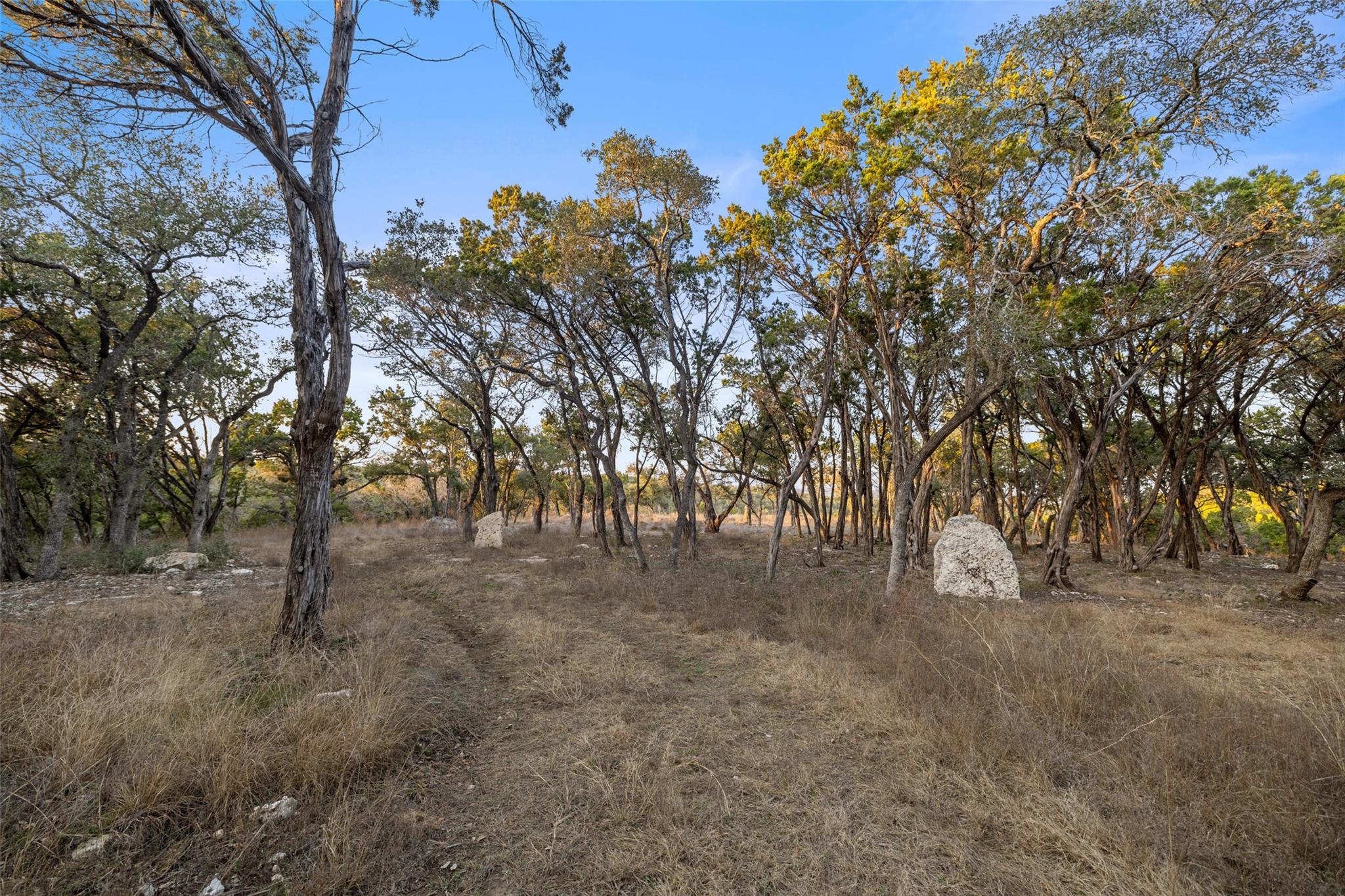 5946 Grotto Creek Ct Property Photo 20